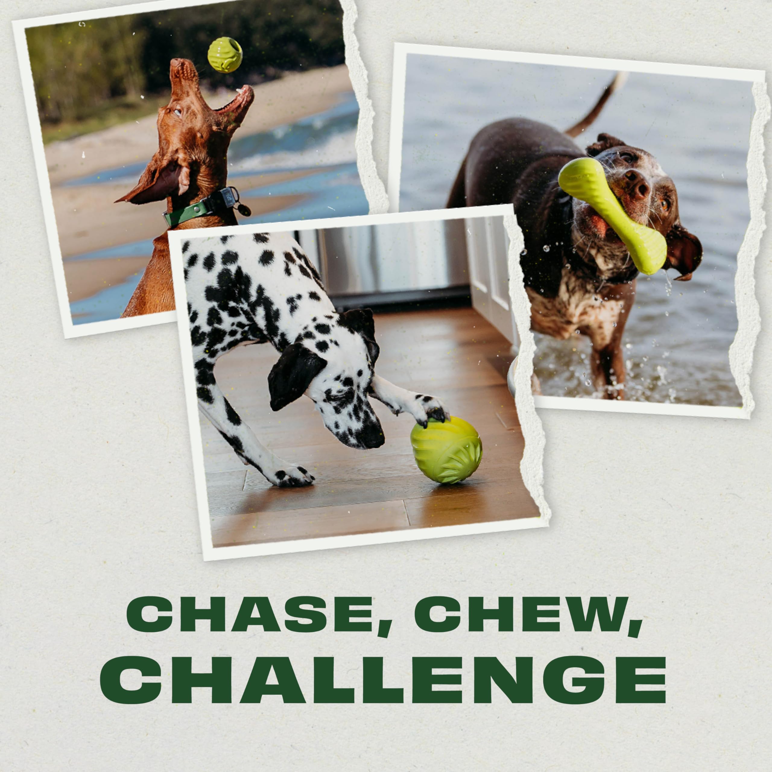 Benebone 3-Pack Ball/Bone Medium/Pawbler Rubber Pet Toys