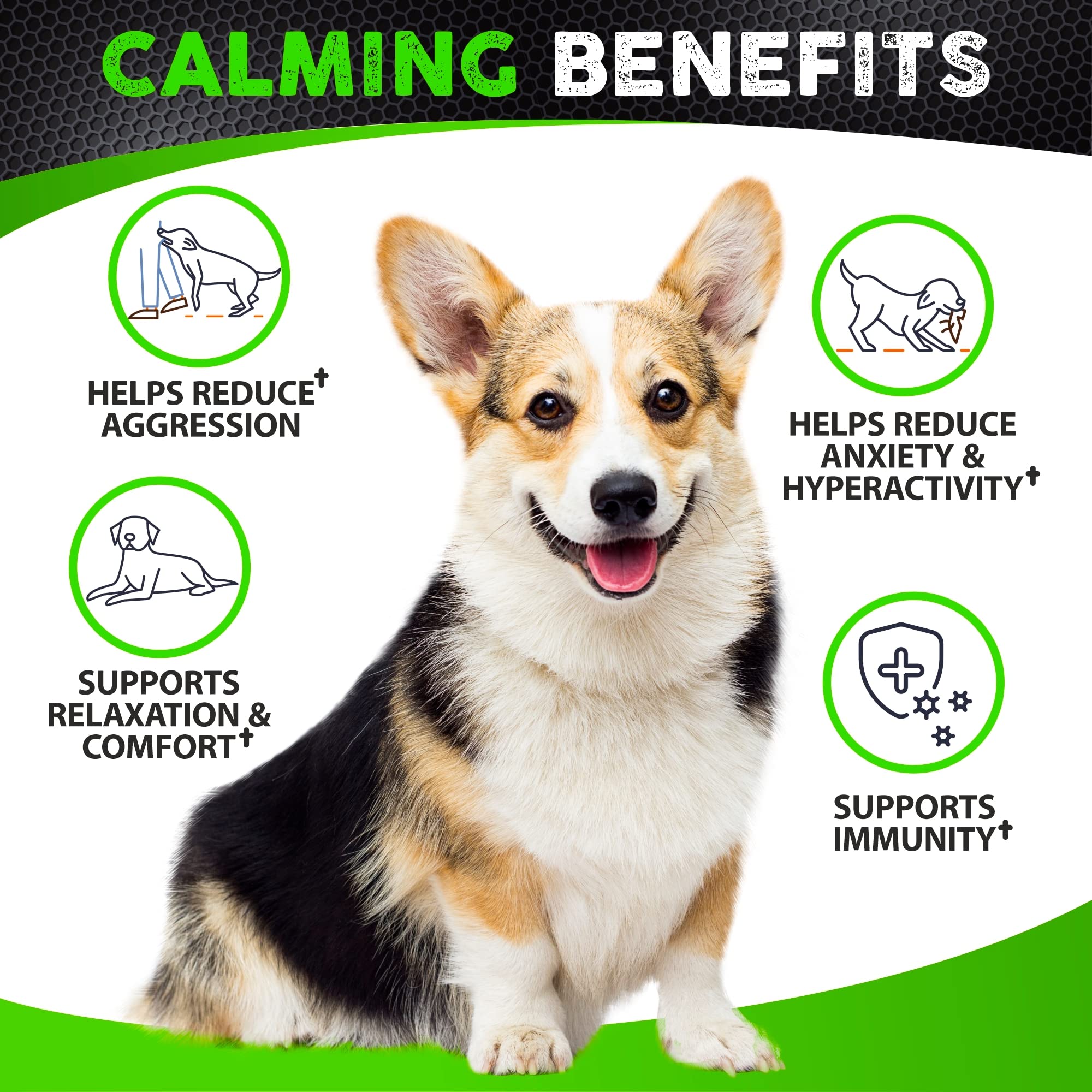 Hemp Calming Chews for Dogs with Anxiety and Stress - 170 Dog Calming Treats - Storms, Barking, Separation - Valerian Root - Mel