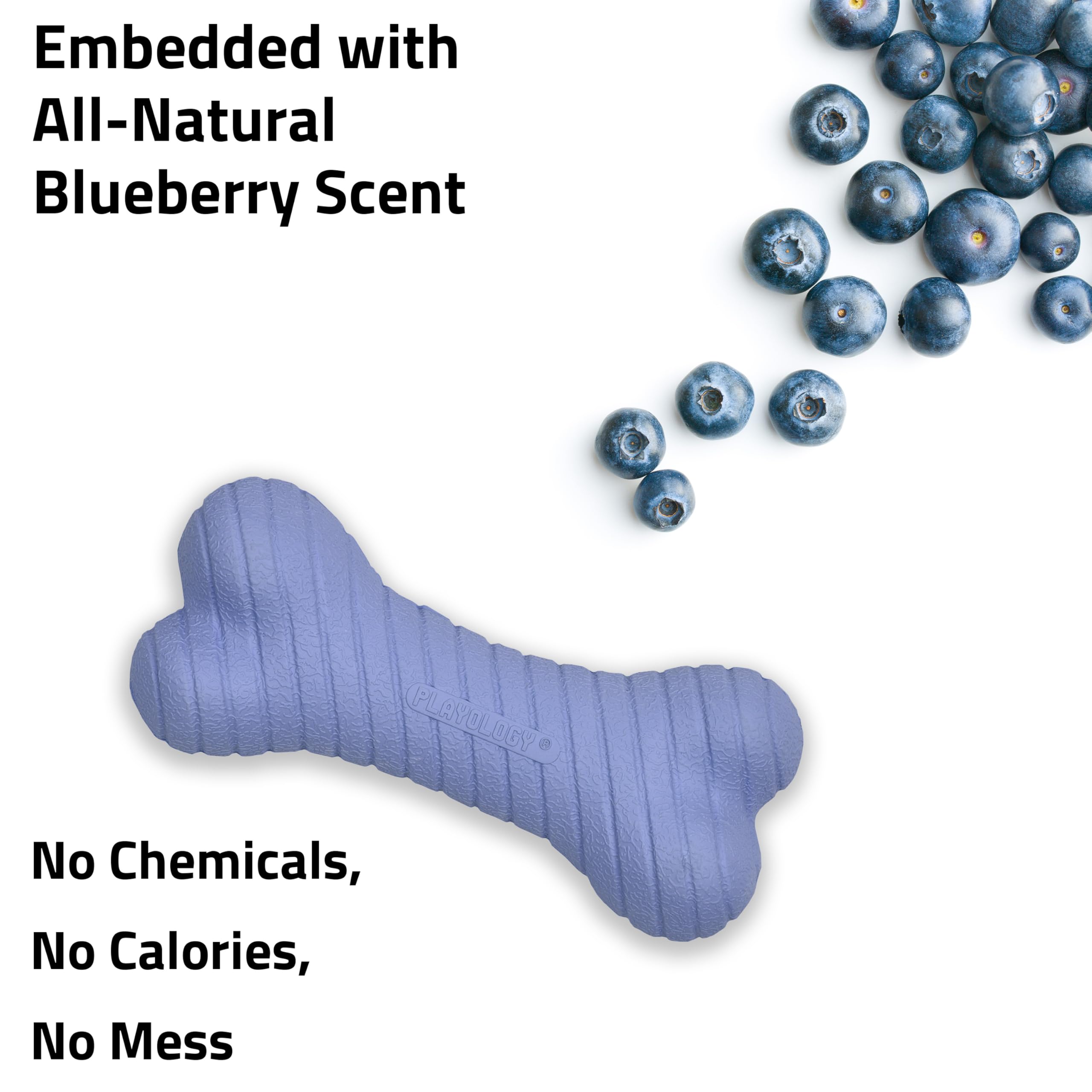 Playology Dog Toys | Dual Layer Bone Durable Chew Toy Bone for Dogs (Value 2-Pack) | Small Blueberry Scented Toy - Easy to Clean