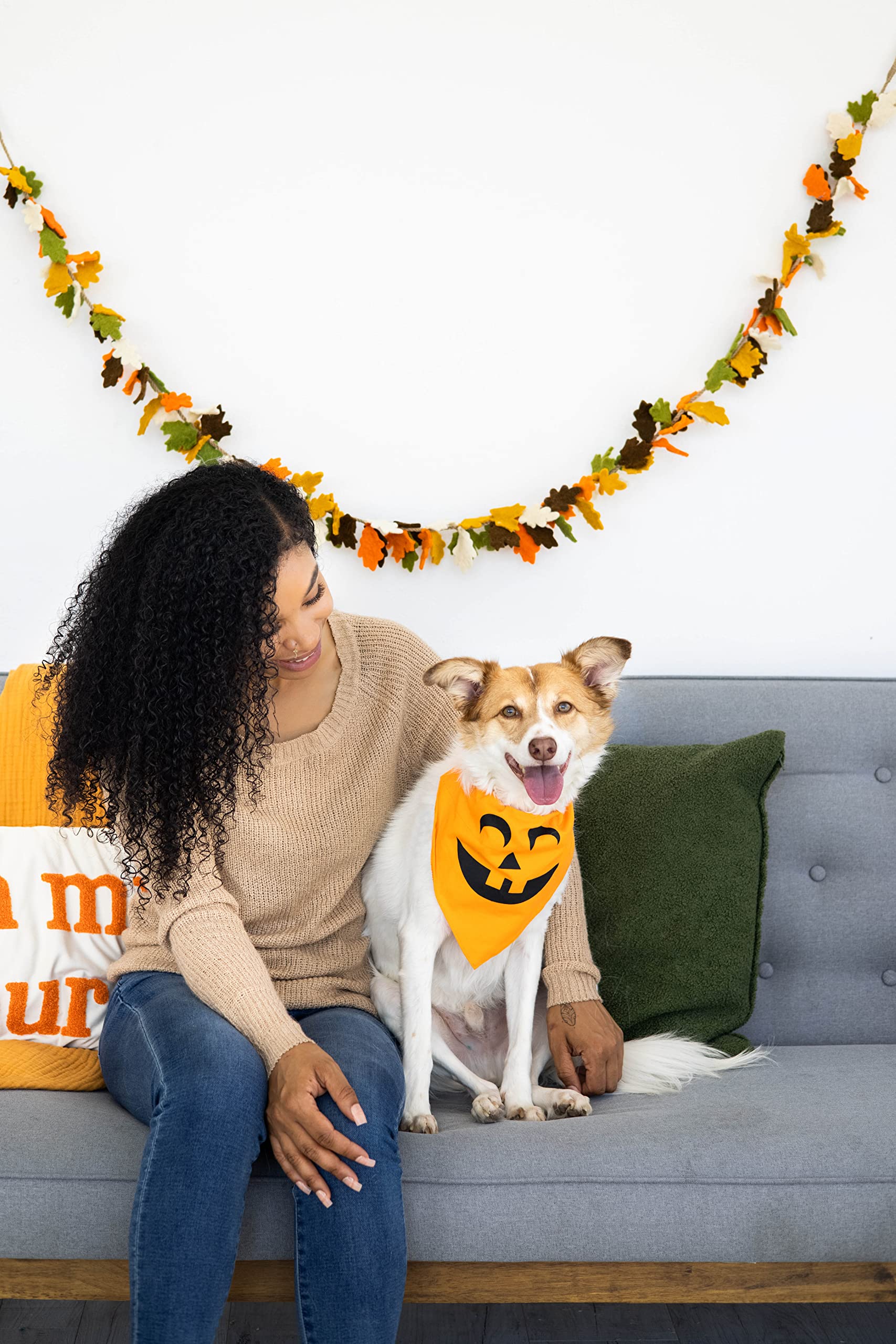 Pearhead Pumpkin Dog Bandana - Fall Dog Apparel, Halloween Costume, Slip On Collar Accessory - Medium/Large