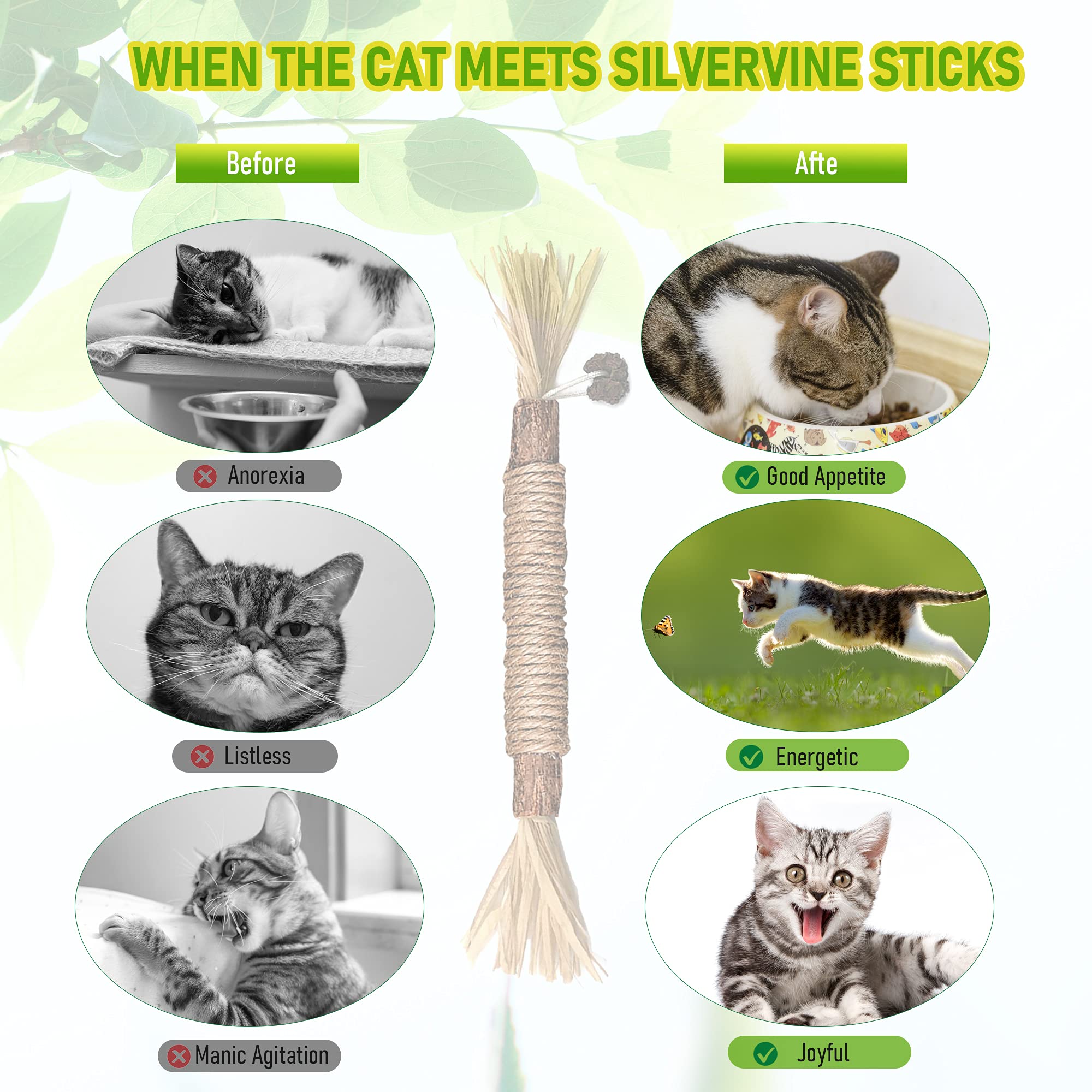 Bawan Catnip Toys? Silvervine For Cats: Cute Cat & Kitten Toys For Indoor Cats Interactive? Cat & Kitten Teething Chew Toys For