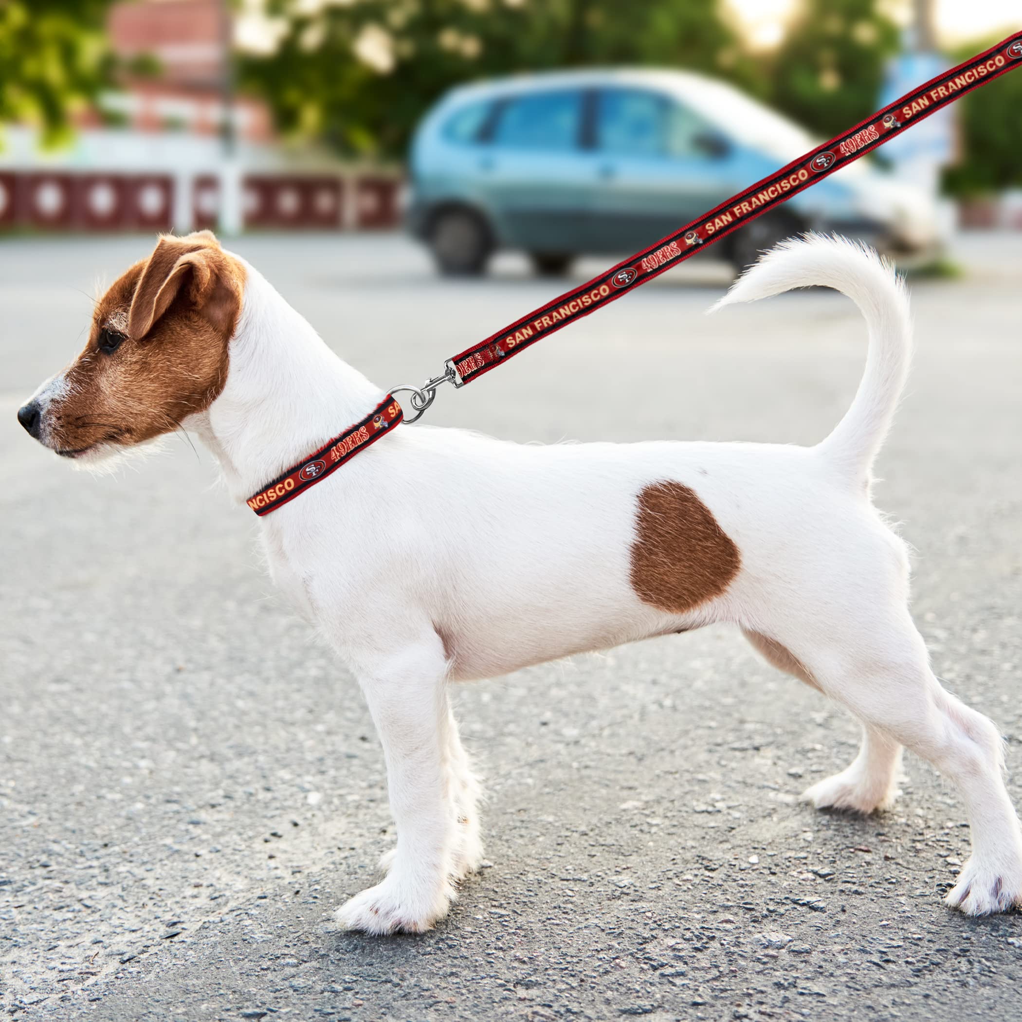 Pets First NFL Pet Leash Small, San Francisco 49ers