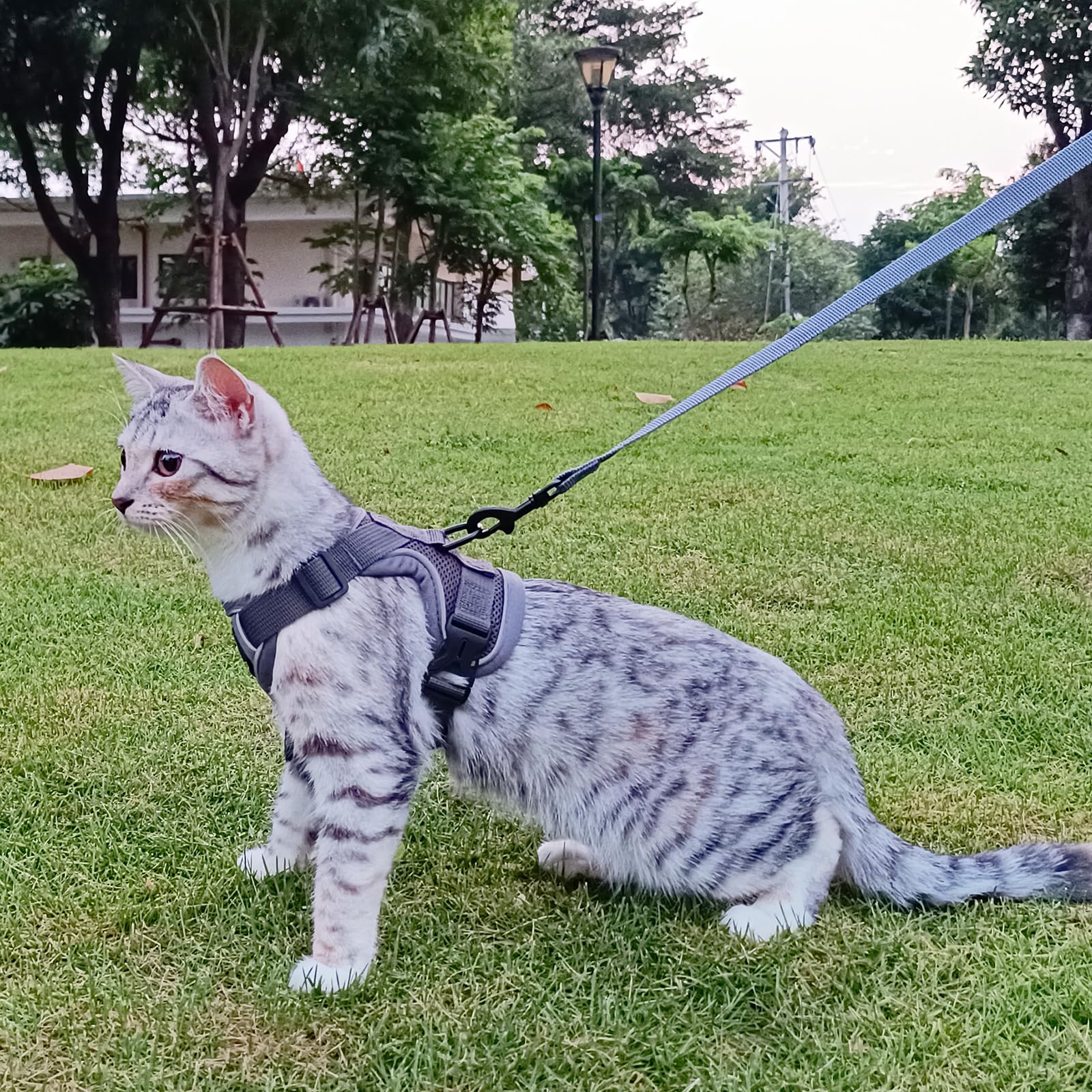 pangdi Cat Harness and Leash Set, Escape Proof Tactical Vest, Large, Grey, Nylon
