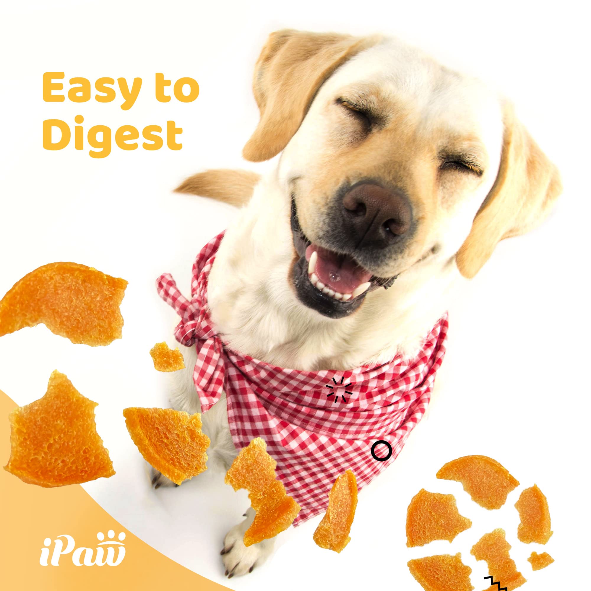 iPaw Dog Treats for Puppy Training, All Natural Human Grade Dog Treat, Hypoallergenic, Easy to Digest (Chicken Chips), 2 Packs