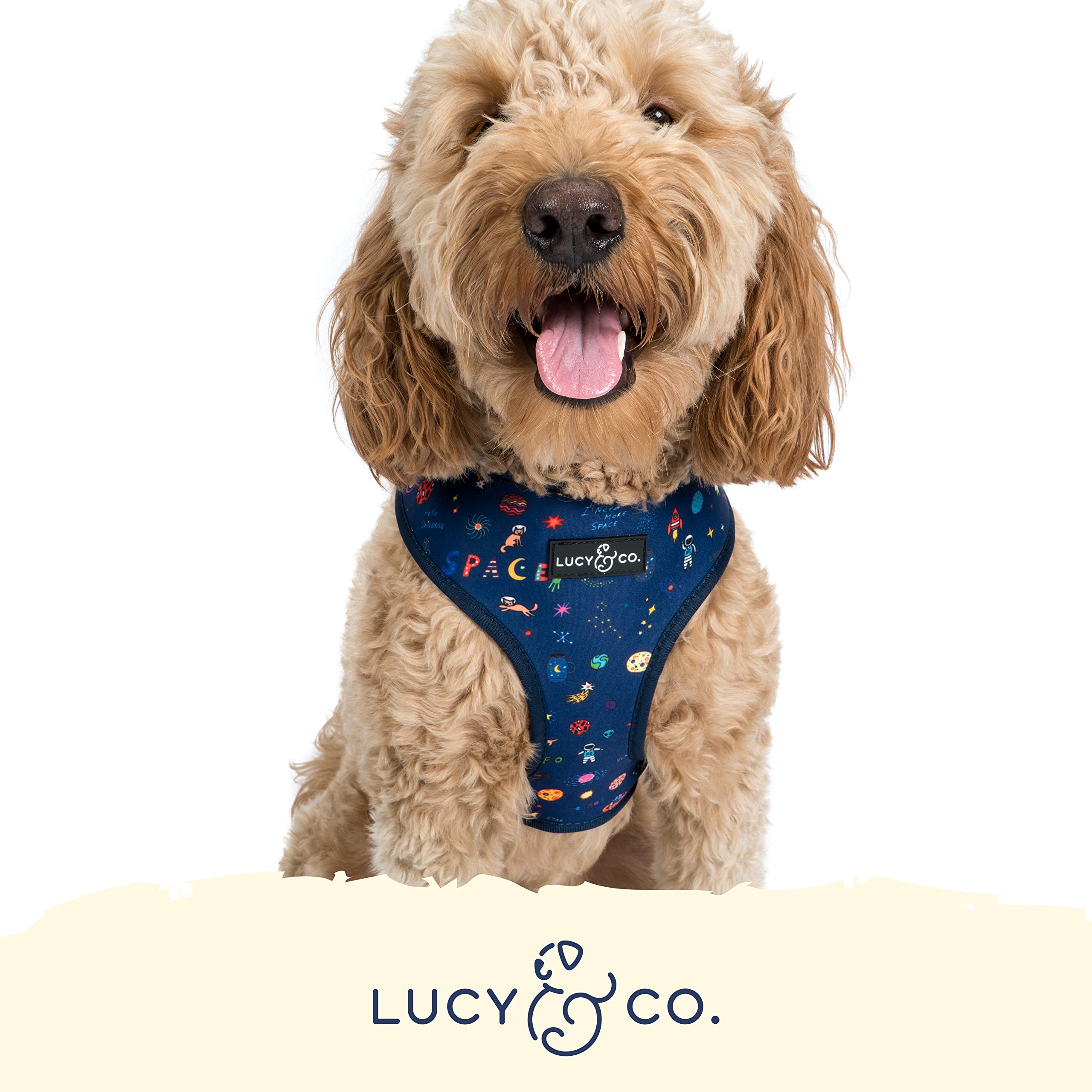 Cute Reversible Dog Harness Walking Halter - Best Designer Pet Harnesses For Medium Dogs - Padded Adjustable Vest For Easy Walking (X-Small, Space Doodle)