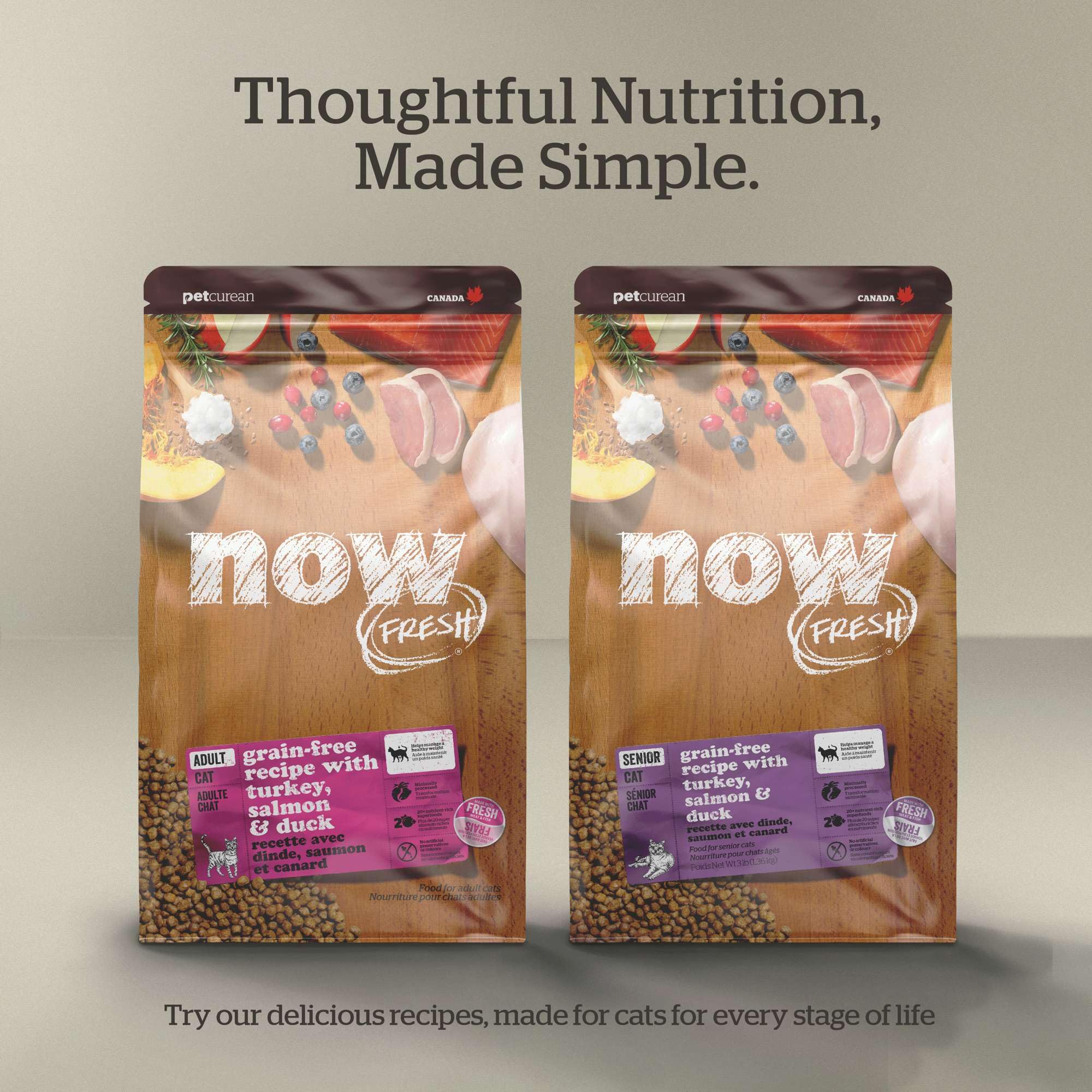 Now Fresh Grain-Free Dry Kitten Food with Turkey, Salmon & Duck, Healthy Kibble for Growing Cats with Real Poultry & Fish, Chick
