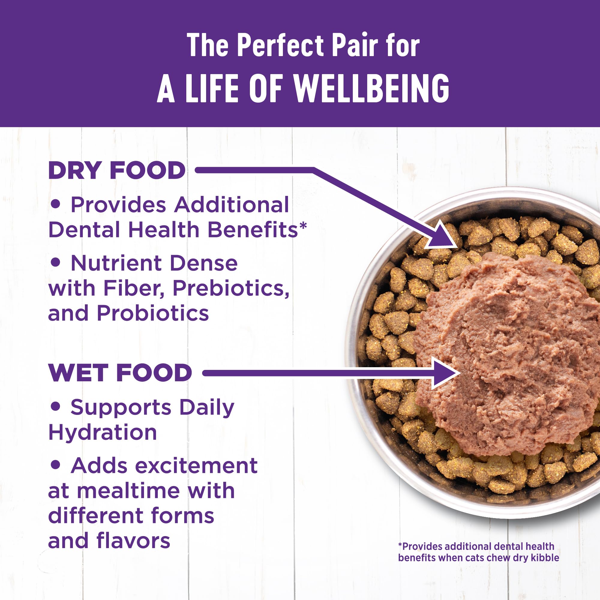 Wellness Complete Health Grain-Free Wet Canned Cat Food, Natural Ingredients, Made with Real Meat, All Breeds, Smooth Pate (Beef