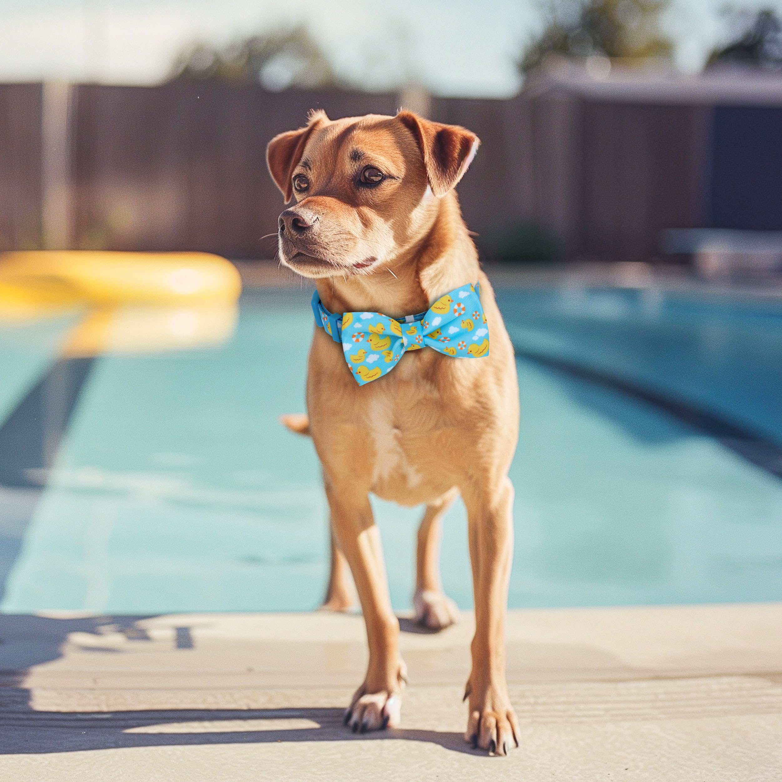 Azuza Dog Collar With Bow Tie, Soft And Comfortable Adjustable Bowtie Dog Collar For Puppy And Small Dogs (Xs, Yellow Duck)