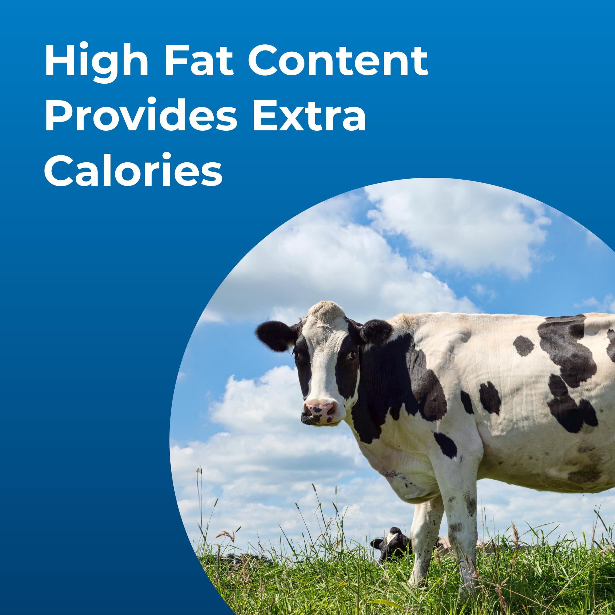 PetAg Dyne High Calorie Liquid for Livestock, 32 oz
