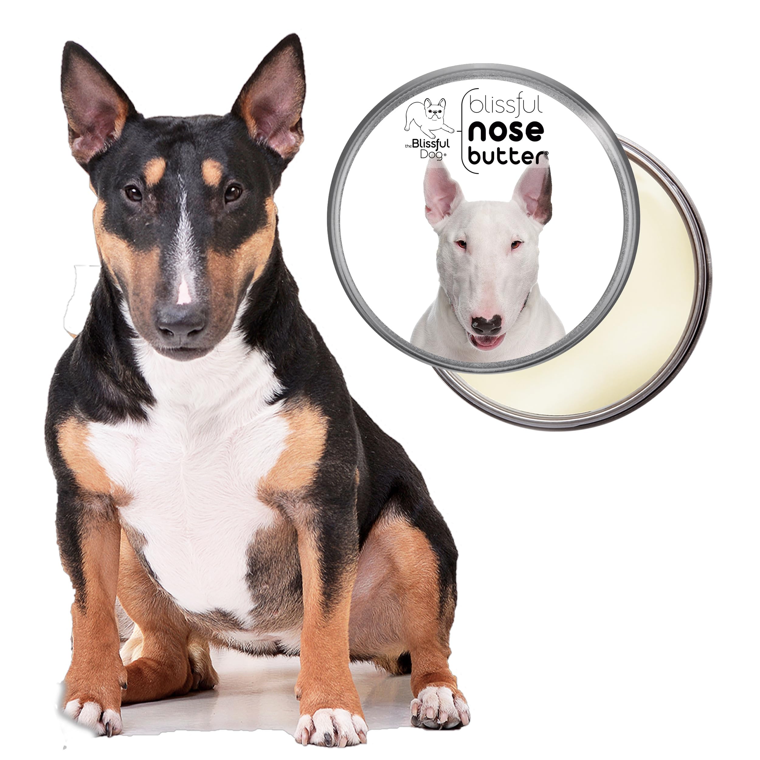 The Blissful Dog Bull Terrier Unscented Nose Butter, 1 oz