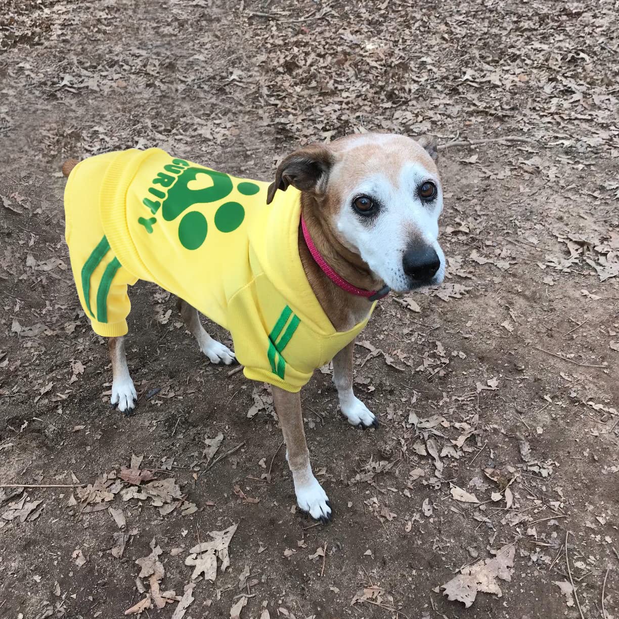 Otunrues Dog Hoodie Security Clothes 4 Legs Jumpsuit Sweatshirt Hoodies Soft & Warm Dog Outfit Pullover Dog Winter Clothes Sweat