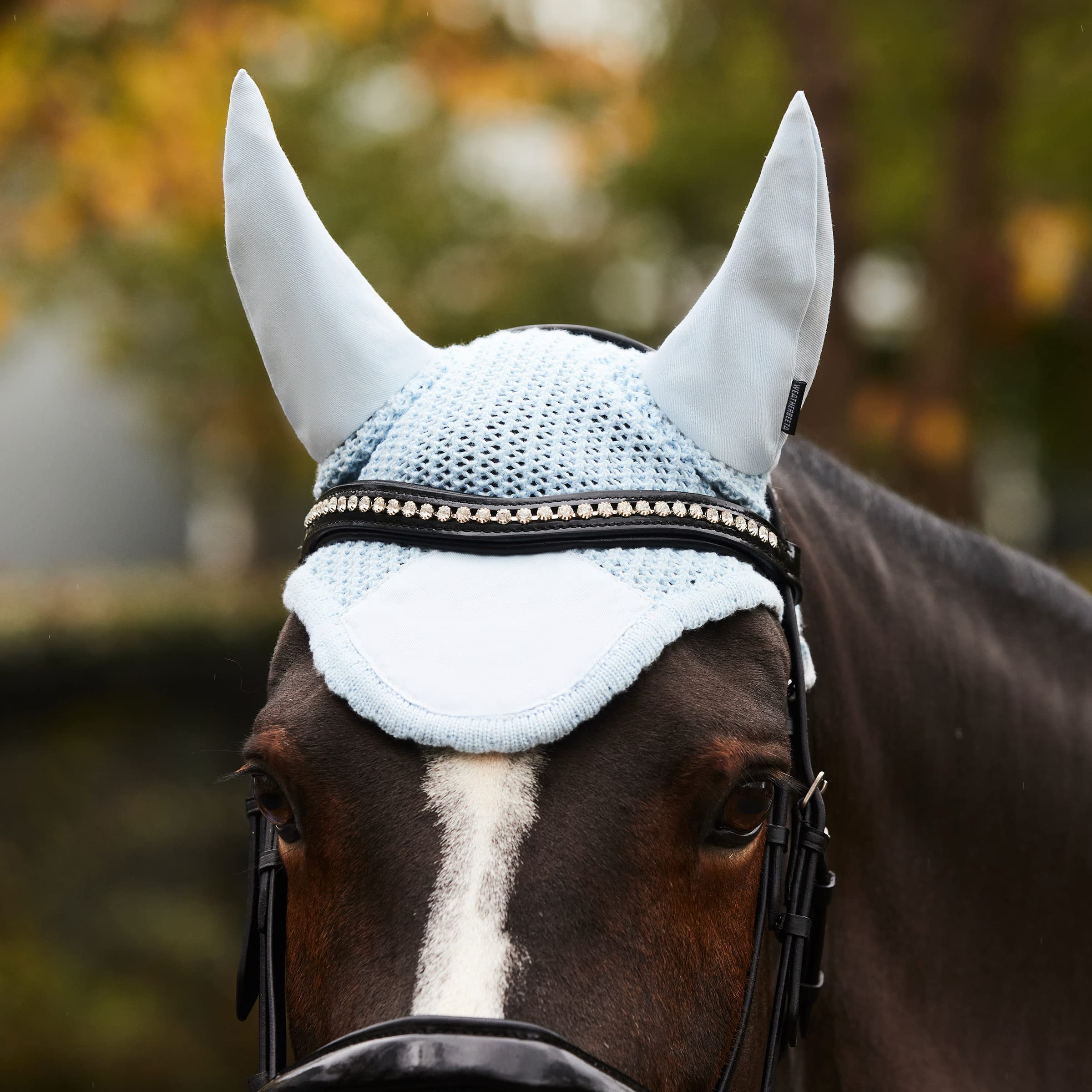 WeatherBeeta Prime Ear Bonnet, Purple Penant, Full