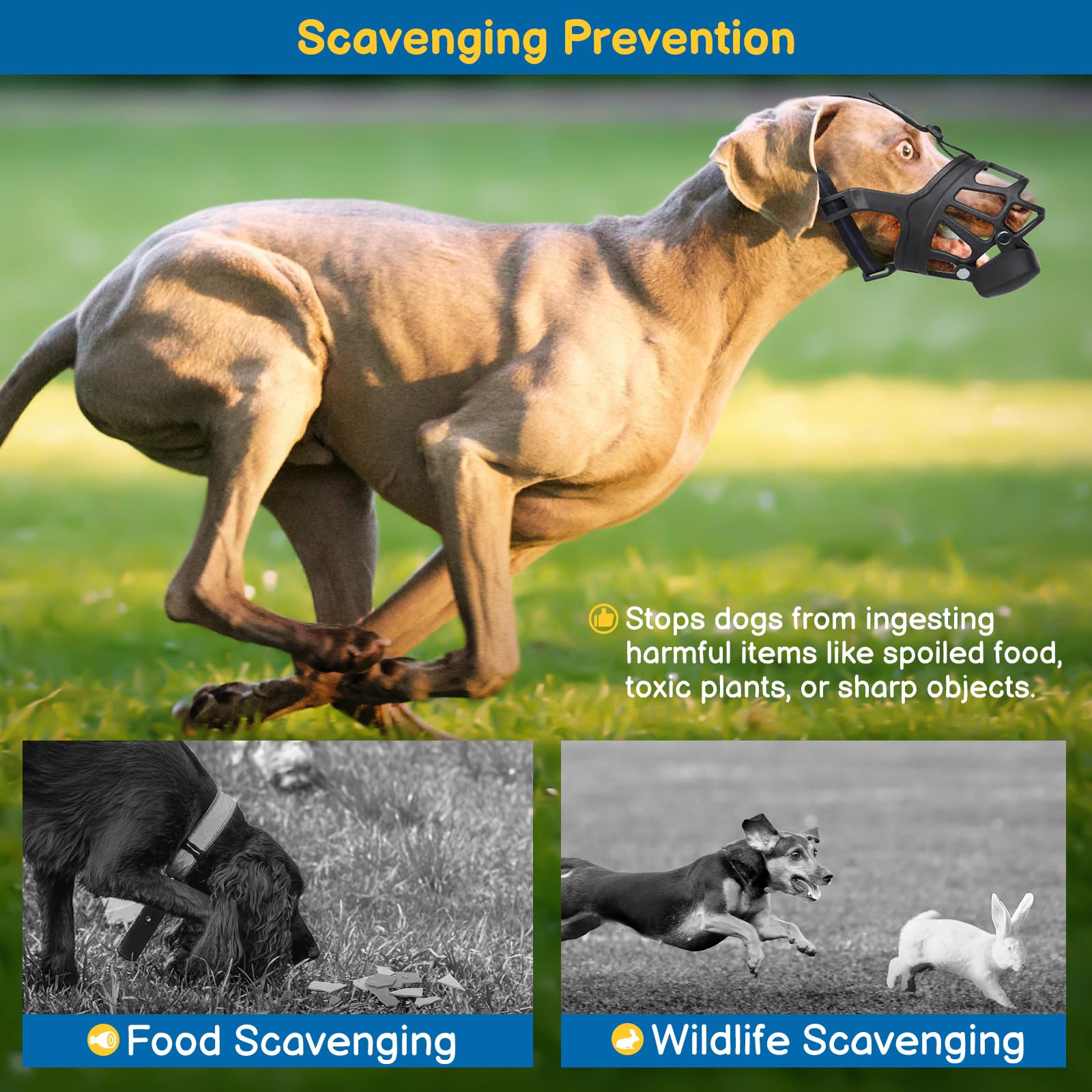 BARKLESS Basket Muzzle for Dogs, Humane Muzzle to Prevent Biting and Scavenging, Snap-on Treat Cover Helps Dogs Acclimatize Mout