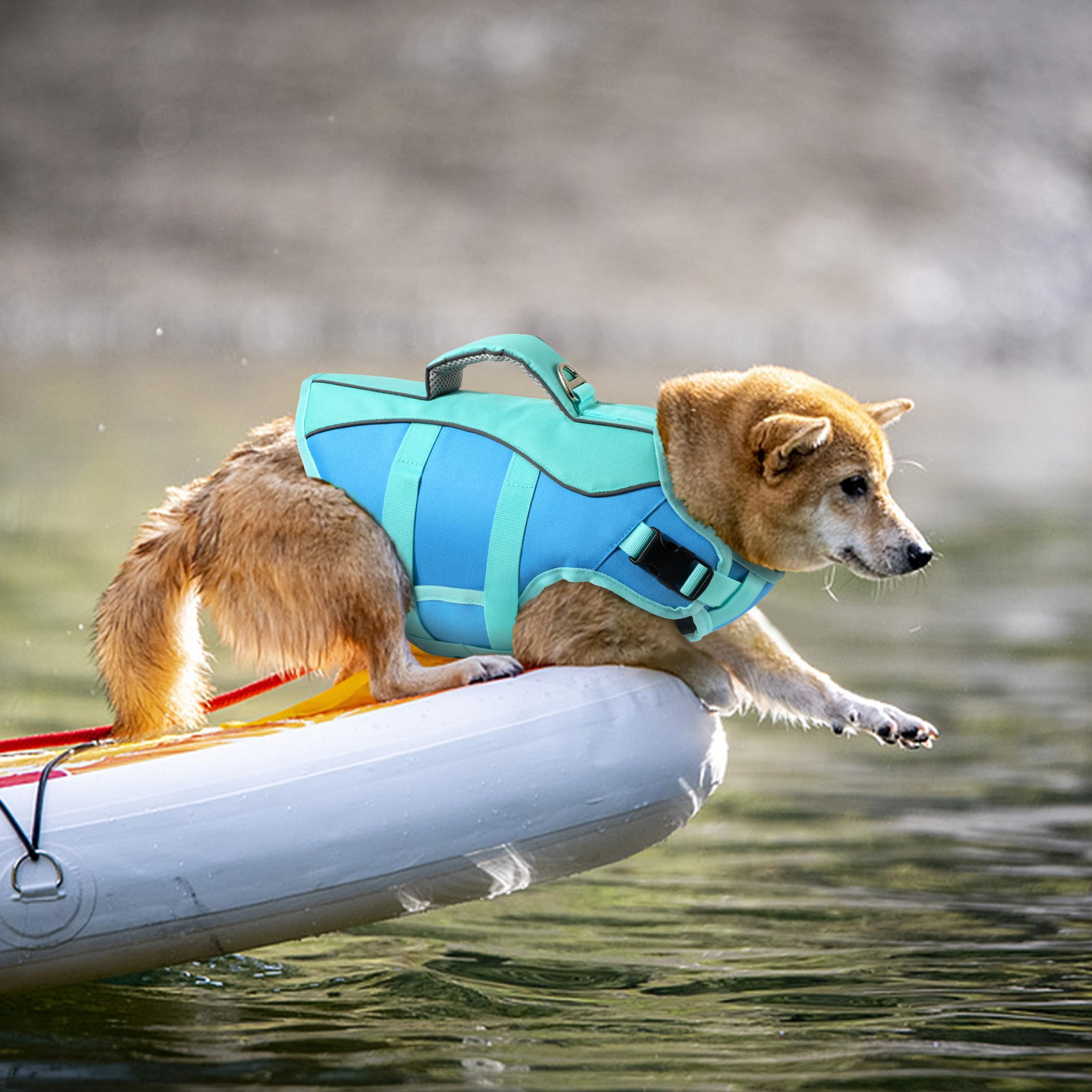 Petglad Dog Life Jacket - Reflective Vest with Handle, Adjustable, High Buoyancy, Medium Size, Blue for Small to Large Dogs