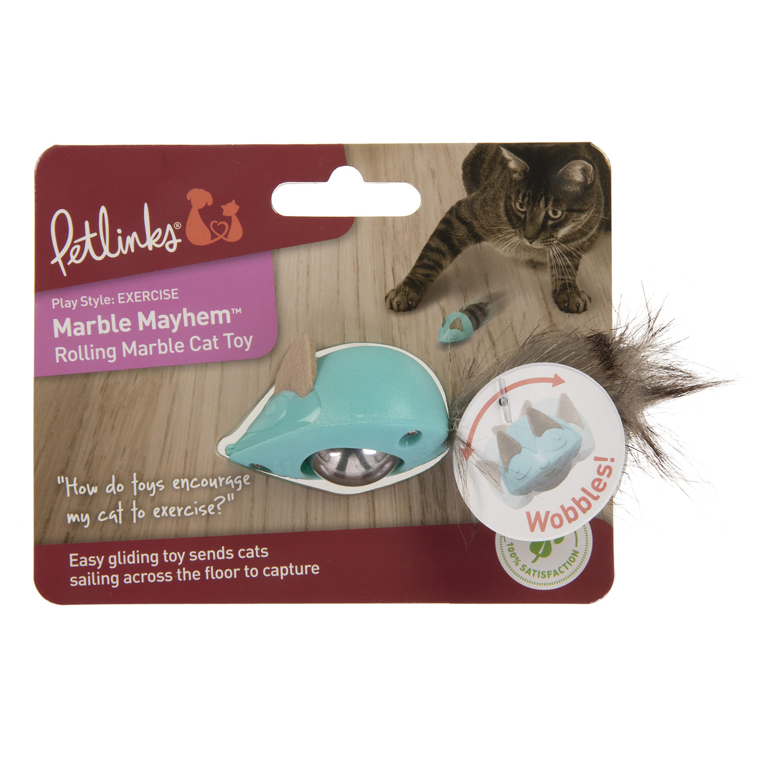 Petlinks Marble Mayhem Rolling Marble Racoon Toy for Cats & Kittens, for Solo & Interactive Play, Encourages Exercise - Teal, On