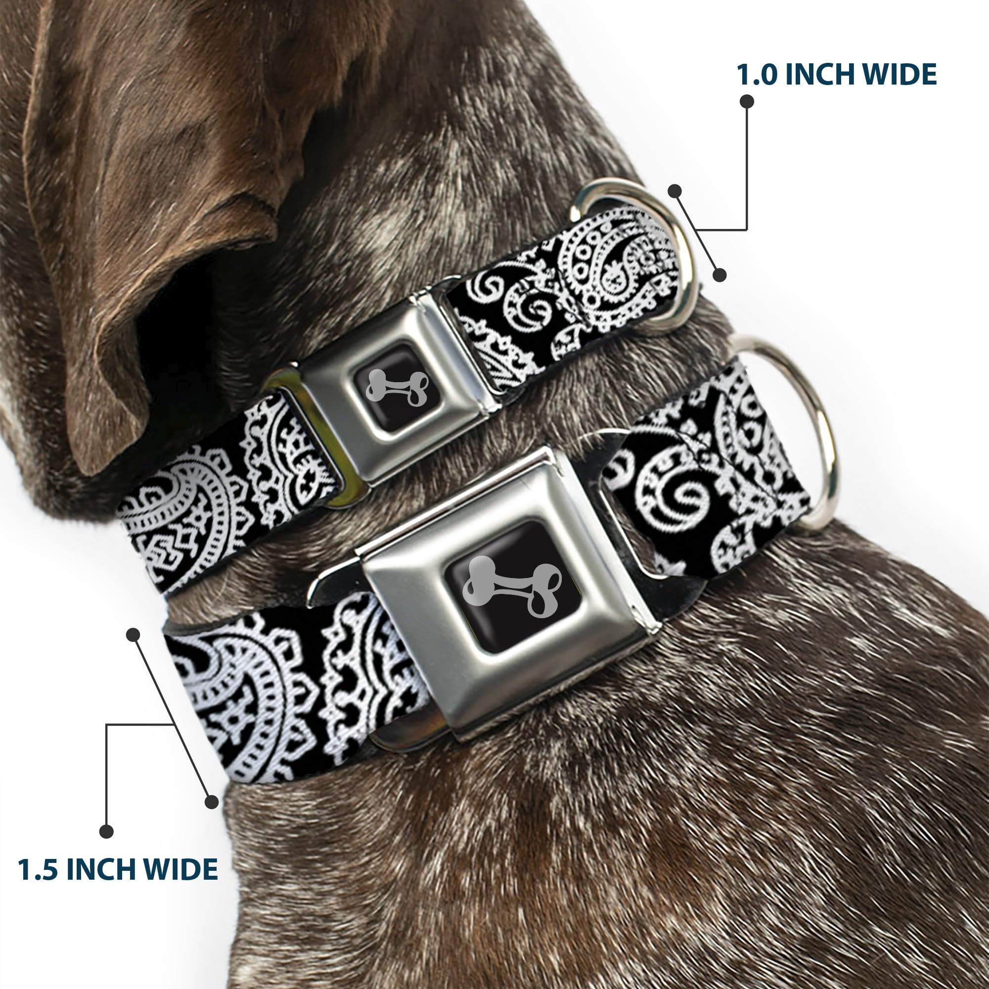 Buckle-Down Seatbelt Buckle Dog Collar - Bandana/Skulls Black/White - 1' Wide - Fits 9-15' Neck - Small
