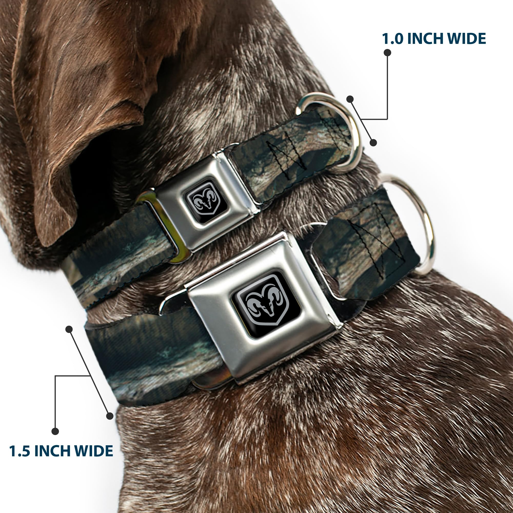 Buckle-Down Dog Collar Seatbelt Buckle Mossy Oak Break Up Infinity 18 to 32 Inches 1.5 Inch Wide
