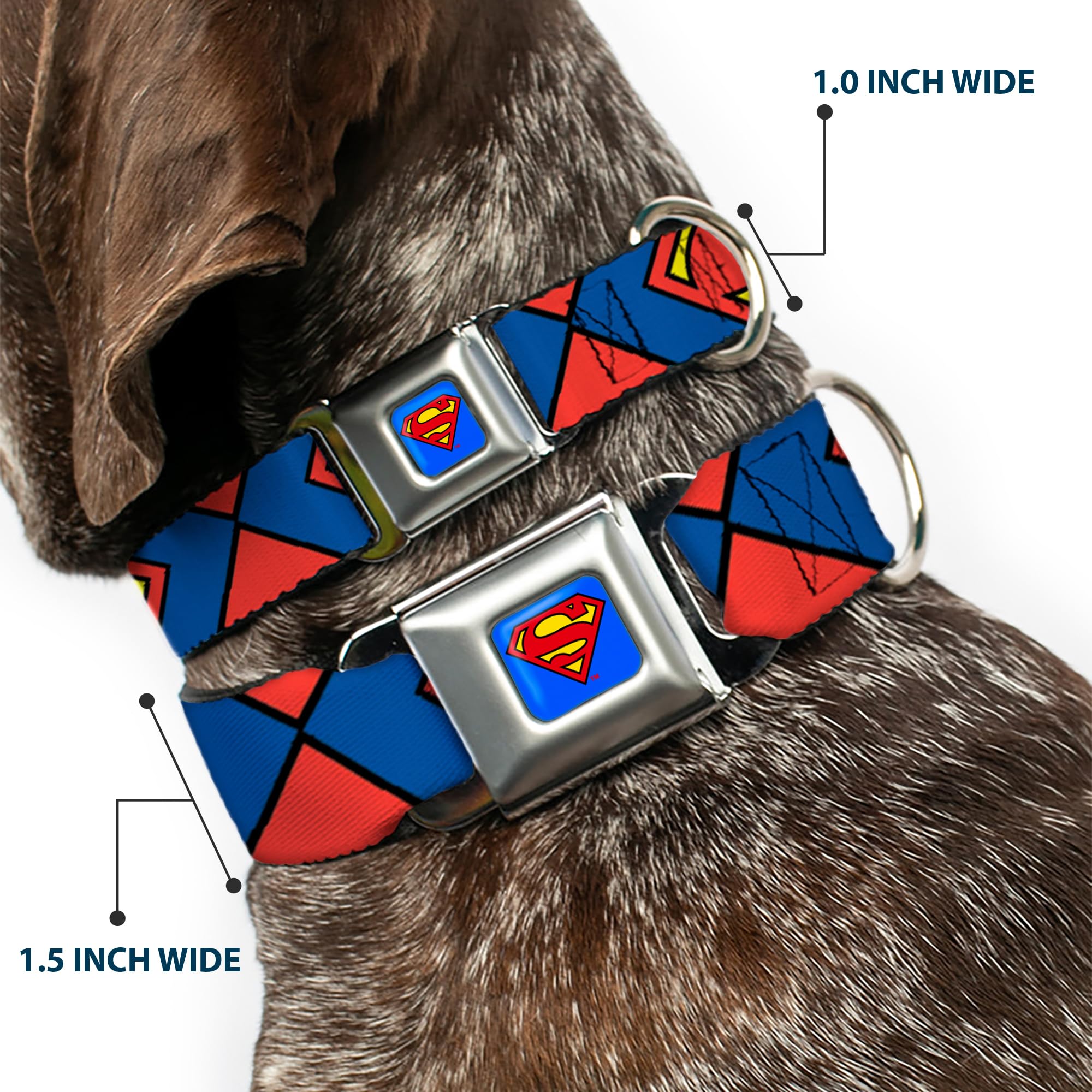 Buckle-Down Dog Collar Seatbelt Buckle Superman Shield Close Up Blue Red Yellow, Multicolor, 1.5' Wide - Fits 16-23' Neck - Me