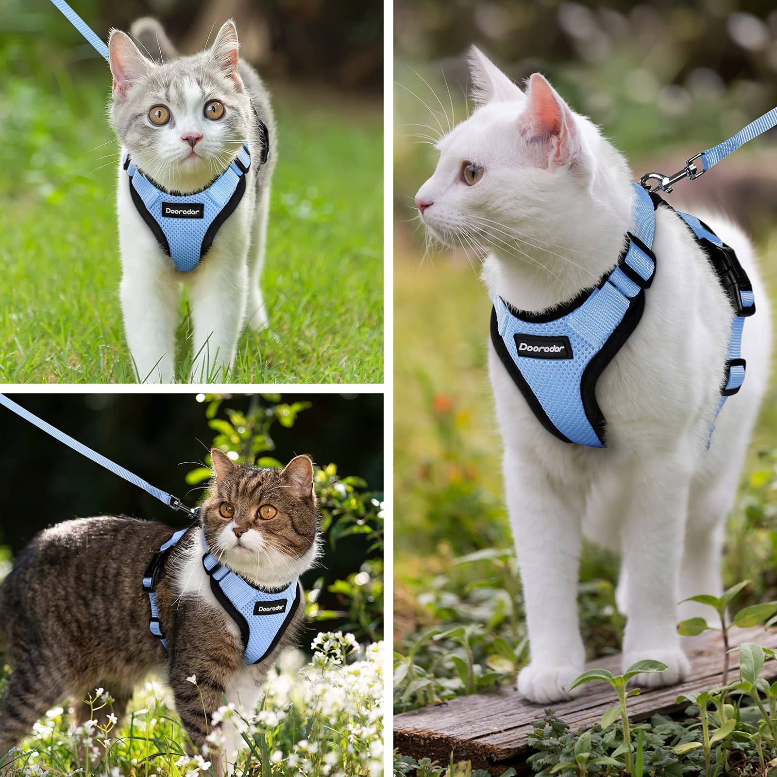 Dooradar Cat Harness And Leash Set, Escape Proof Safe Adjustable Kitten Vest Harnesses For Walking, Easy Control Soft Breathable Mesh Jacket With Reflective Strips For Cats, Light Blue, S