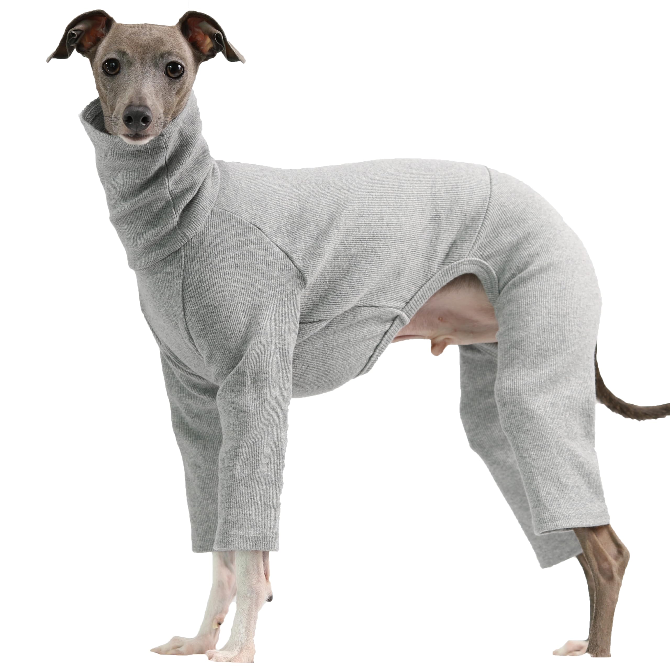 D Doggy Star Italian Greyhound Clothes Stretchable Onesie Whippet For Dog (M,Ribbed Grey)
