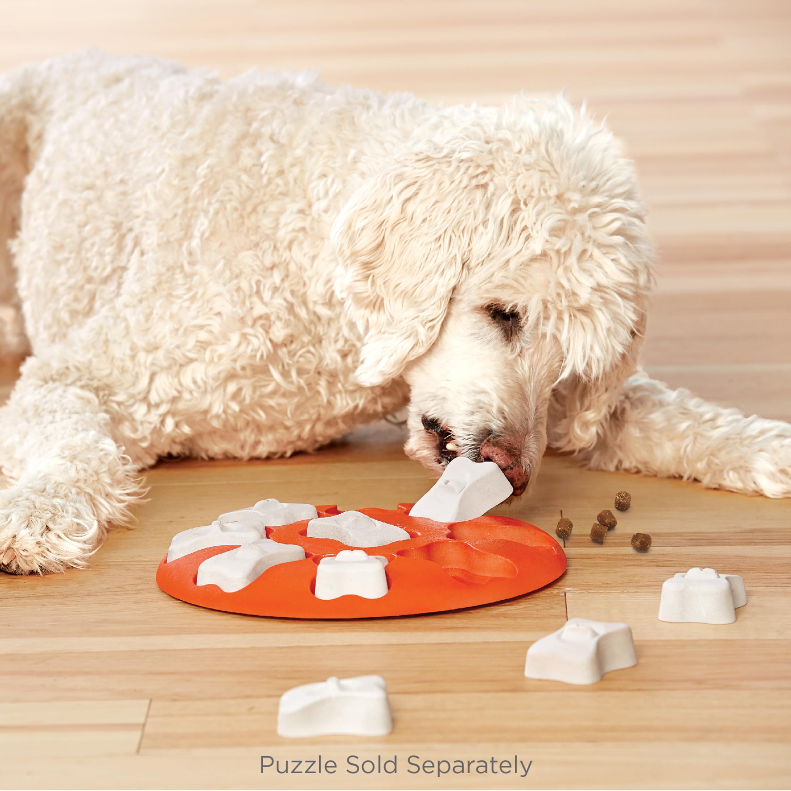 Outward Hound By Nina Ottosson Bone Replacement Parts For Dog Puzzles, Dog Brick, Dog Tornado, Dog Smart, Puppy Tornado, Puppy Smart, 5 Pack, White