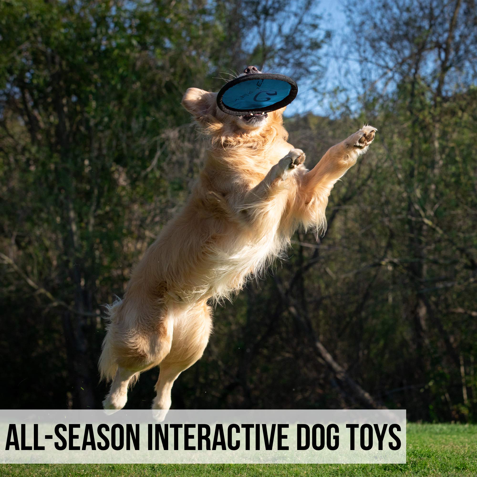 Hyper Pet Flippy Flopper 9'' Flying Disc Soft Dog Toy, Floats In Water & Safe On Teeth, For All Breeds, Pack Of 5 (Colors May Va