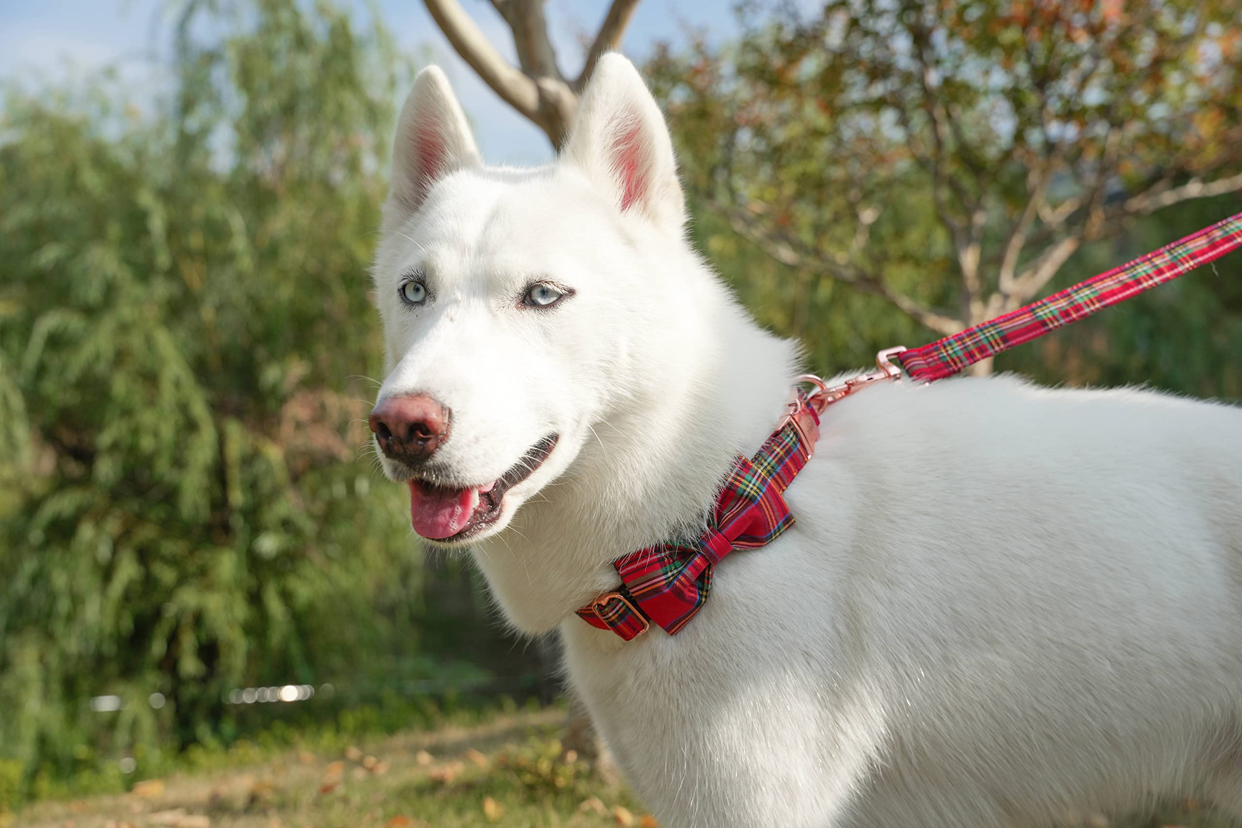 Tunkoo Dog Leash Christmas Plaid With Soft Comfy Cotton Handle