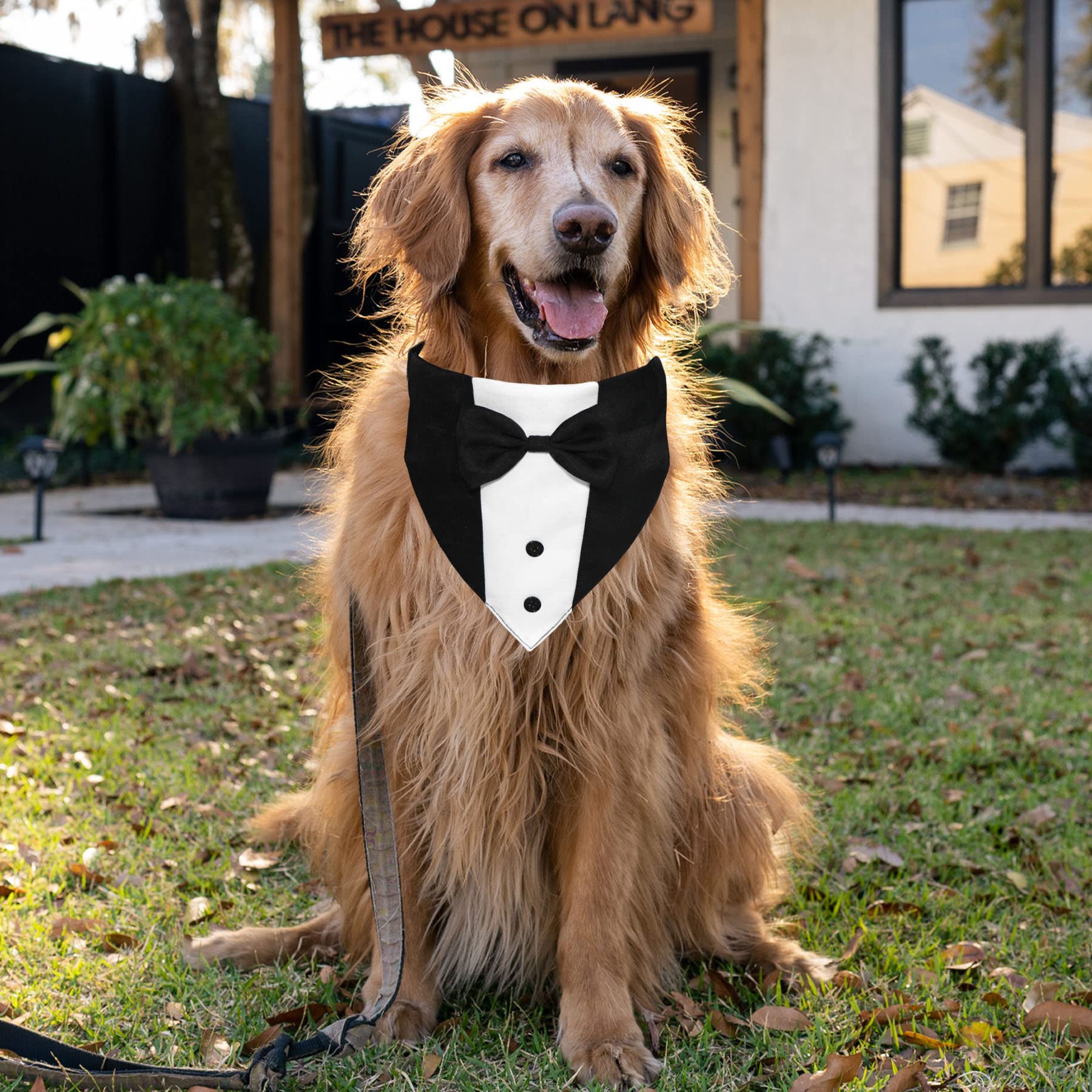 Goyoswa Dog Tuxedo Dog Suit Dog Wedding Bandana Collar With Bow Tie, Adjustable Dog Tux Formal Dog Costumes, Engagement Birthday Tuxedo For Small Medium Large Dogs Pets (Large: Neck 15”-25”)