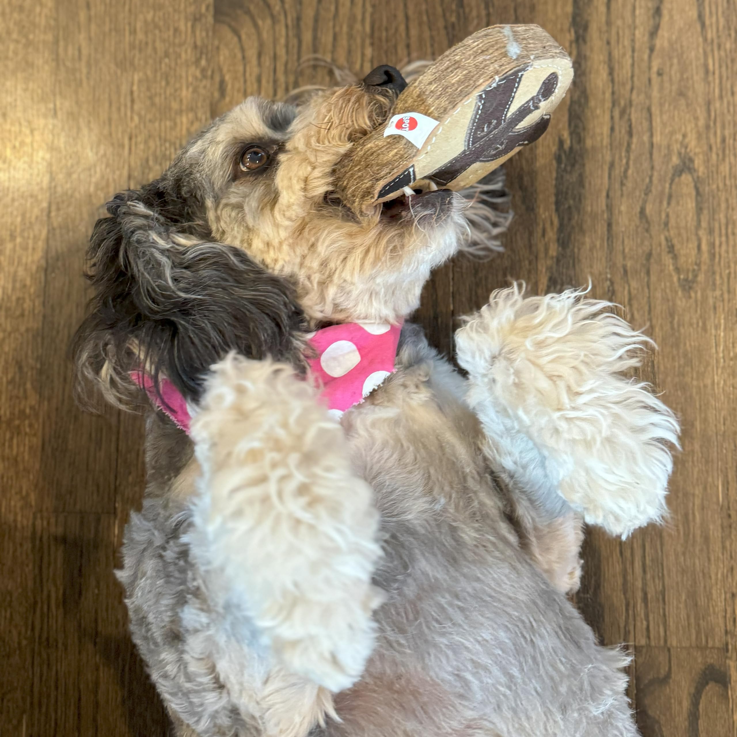 Spot Dura-Fused Chunkies Raccoon - All Natural Leather And Felt Dog Toy - No Squeak, No Fluff, Durable, Extra Thick Dog Chew Toy For Aggressive Chewers, Great For Adult Dogs And Teething Puppies, 5In