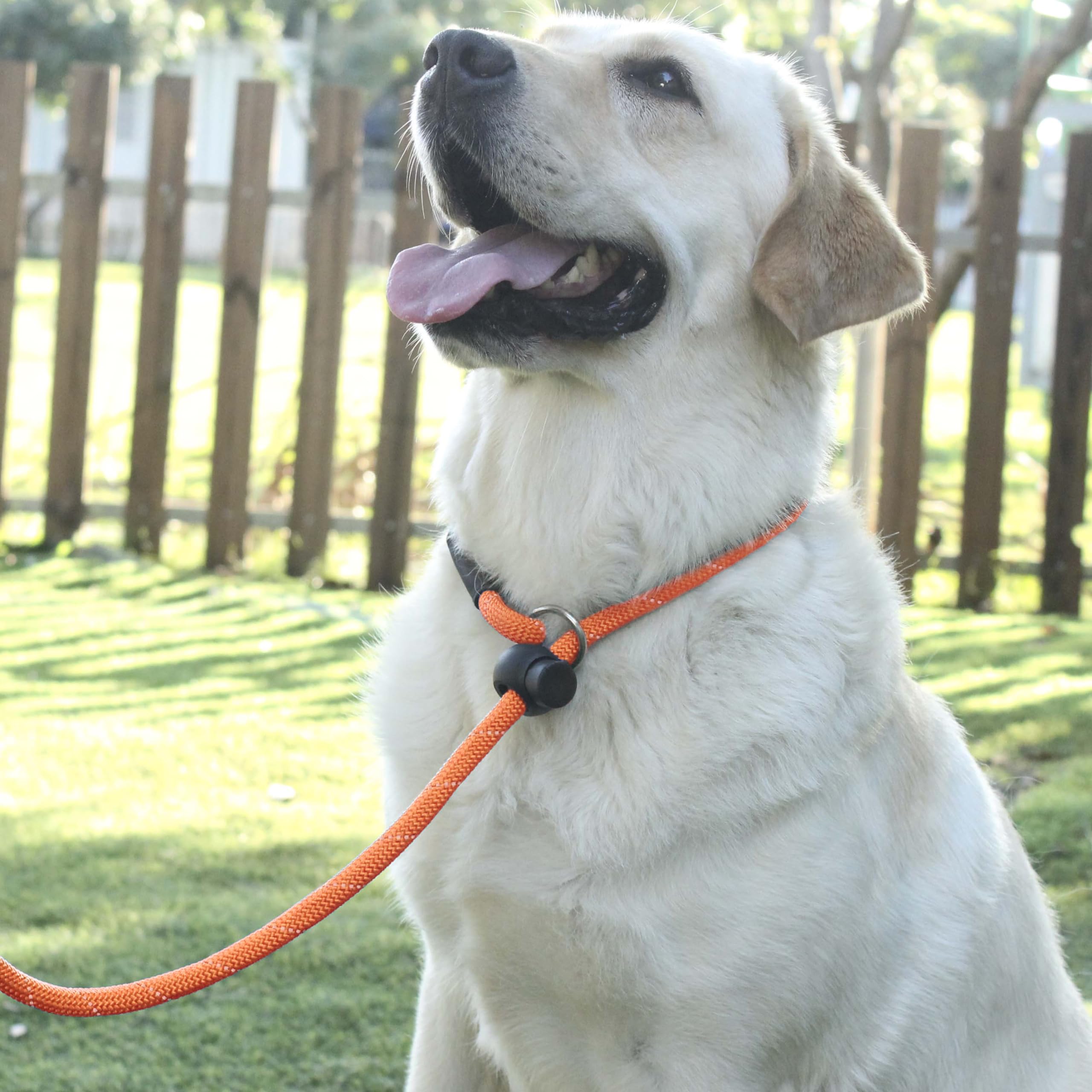 Hiado Slip Lead Dog Leash Reflective With Stopper Loop Rope Training No Pull For Small Medium Large Dogs 4Ft Orange