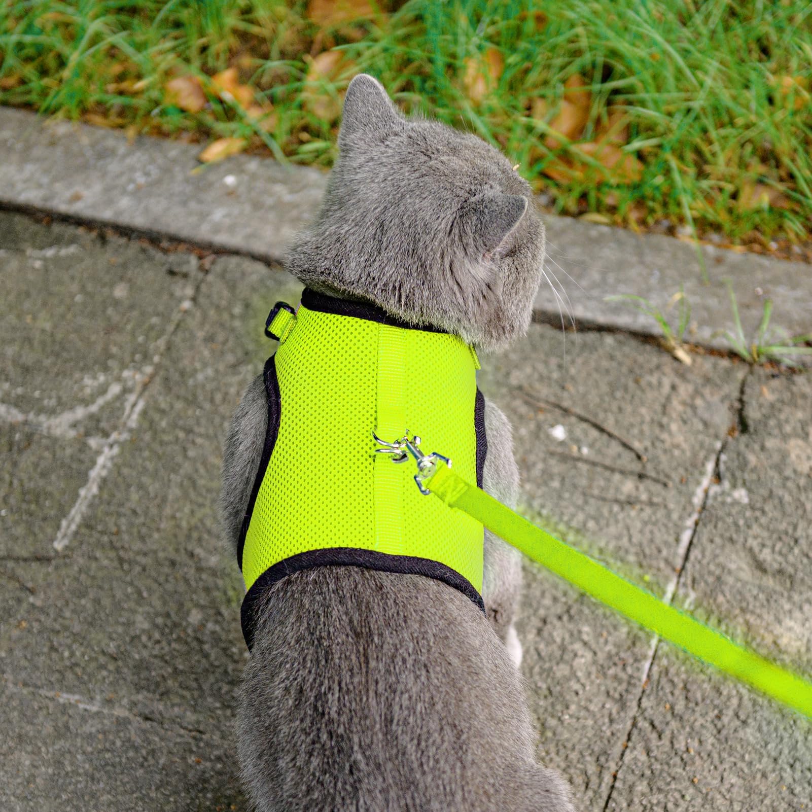 Pupteck Soft Mesh Cat Vest Harness And Leash Set Puppy Padded Pet Harnesses Escape Proof For Cats Small Dogs Rabbits Bunny, Fluo