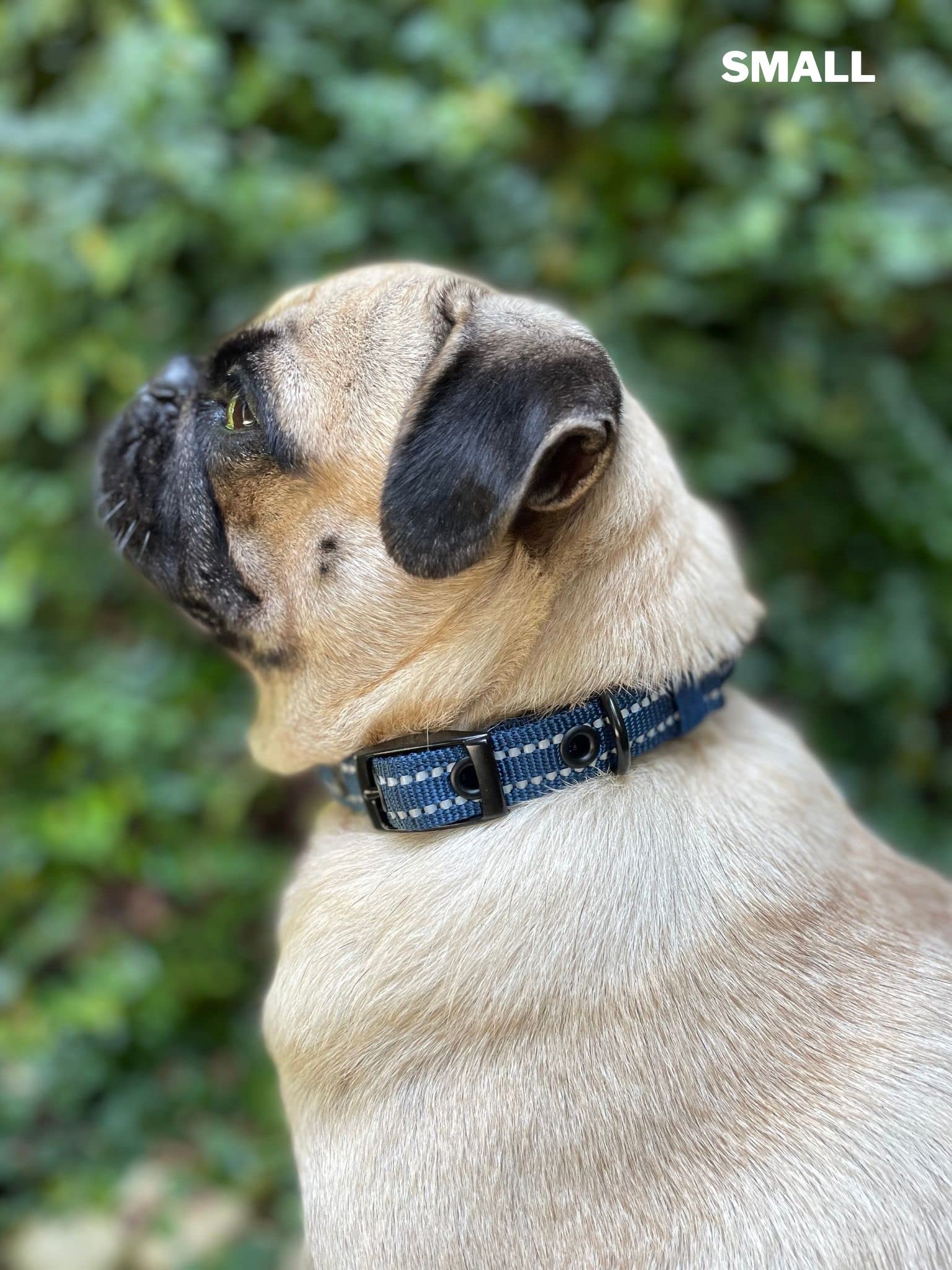 Heavy Duty Dog Collar With Handle  Ballistic Nylon Heavy Duty Collar  Padded Reflective Dog Collar With Adjustable Stainless Ste