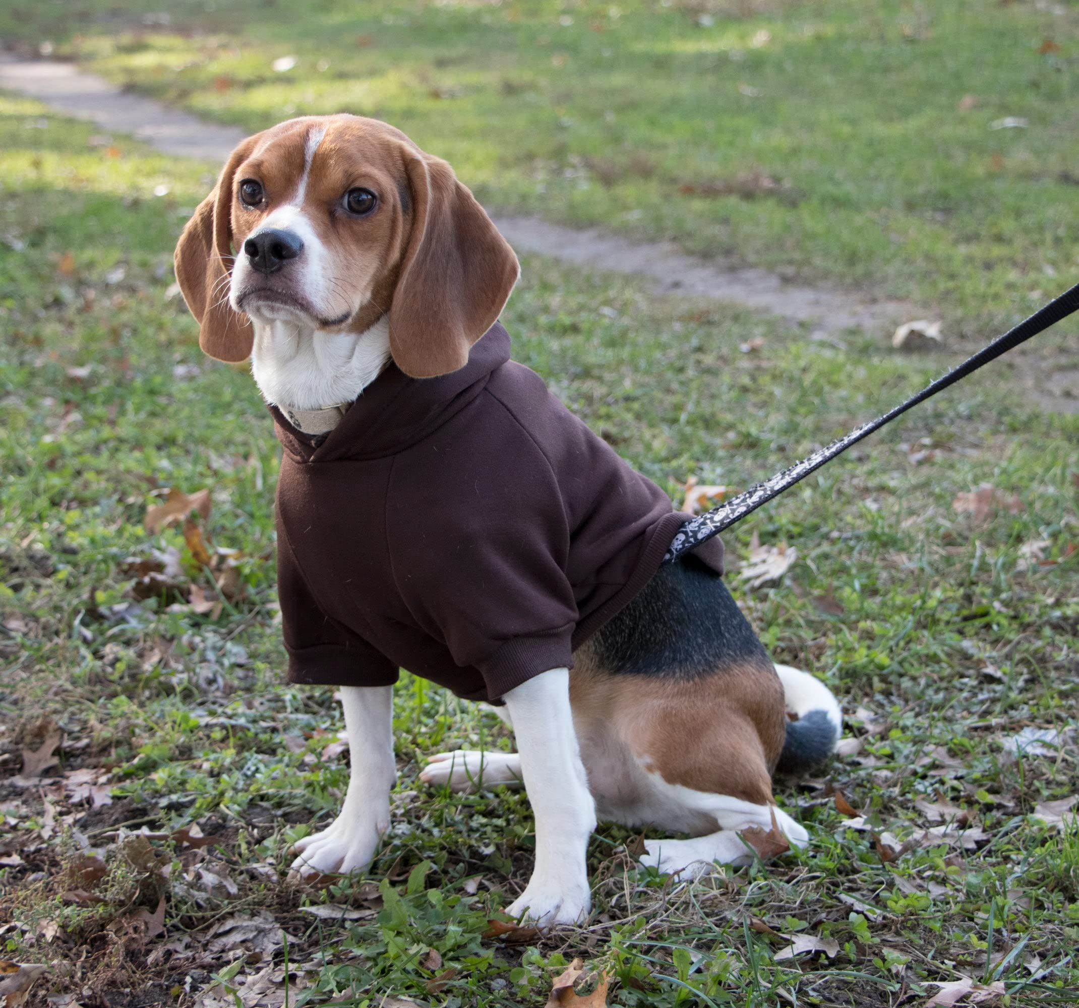 Fashion Plush Cotton Pet Hoodie Hooded Sweater(D0102H7Lv3V.)