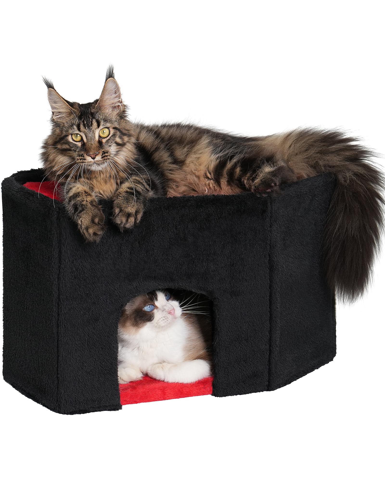 Aechonow Gothic Cat Condo Cave For Indoor Cats, Spacious Indoor Coffin Cat House Bed,Large 20X13.5Inch Bunk Perch, Stable Cubbie