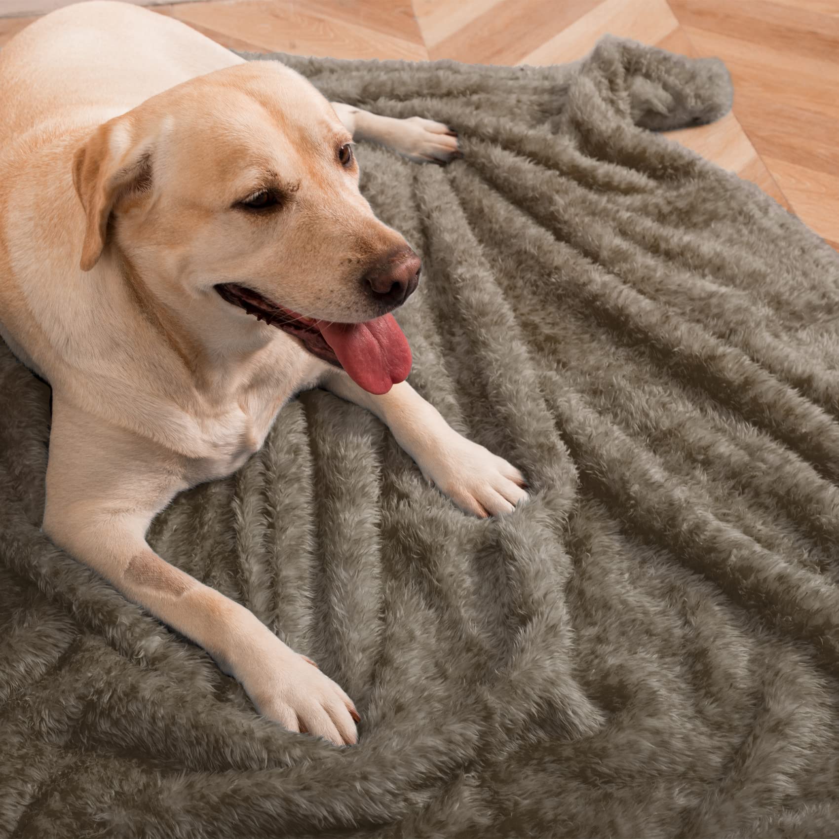 MACEVIA Fluffy Fleece Dog Blankets,Warm Soft Fuzzy Pets Blanket for Puppy,Small,Medium,Large Dogs and Cats,Plush Pet Throws for