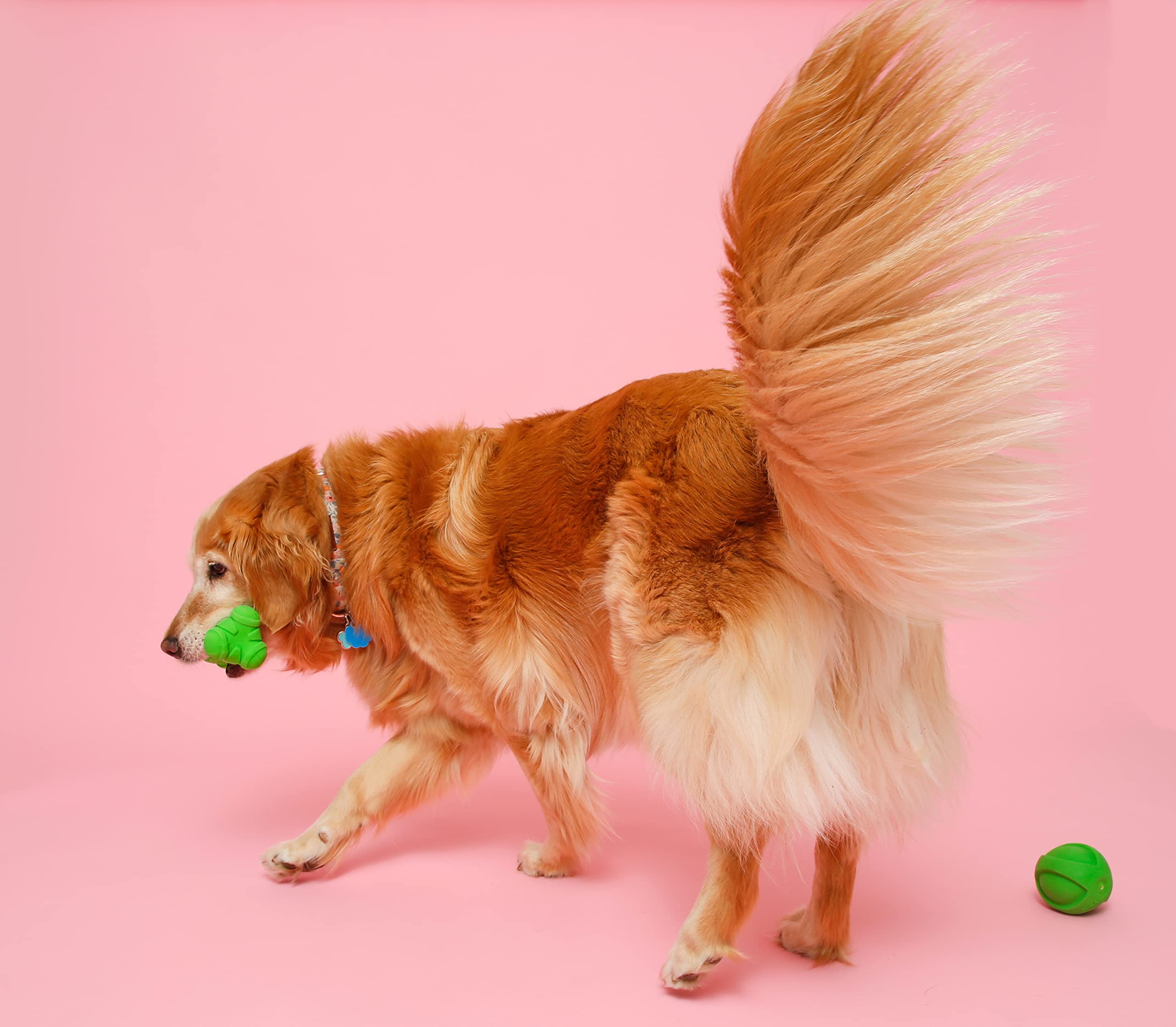 Hartz Duraplay Bone Squeaky Latex Dog Toy, Large, 3 Pack