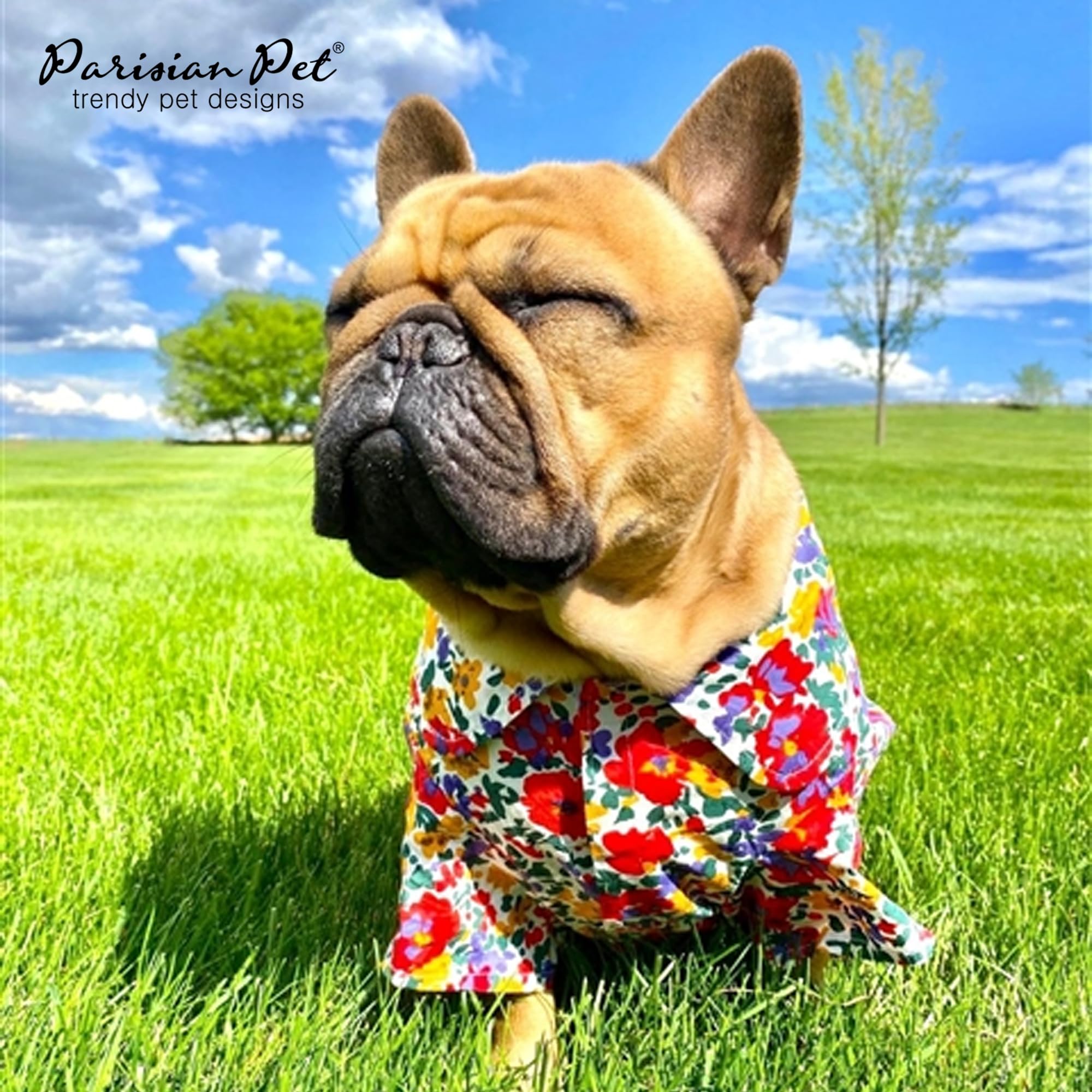 Parisian Pet Floral Pattern Cotton Shirt - Summer Beach Outfit For Small Dogs - Hook And Loop Closure, Machine Washable - Size S
