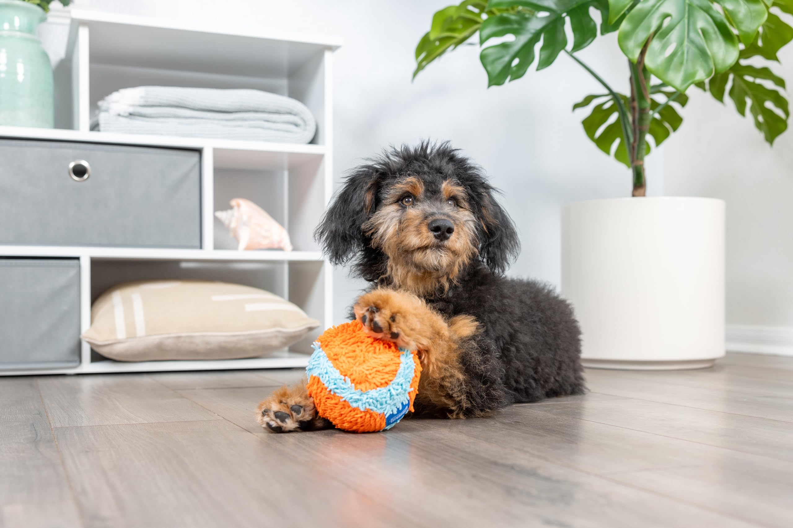 Chuckit! Indoor Fetch Ball Dog Toy For Dogs - Interactive Dog Toys For Boredom, 4.75 Inch, Orange And Blue