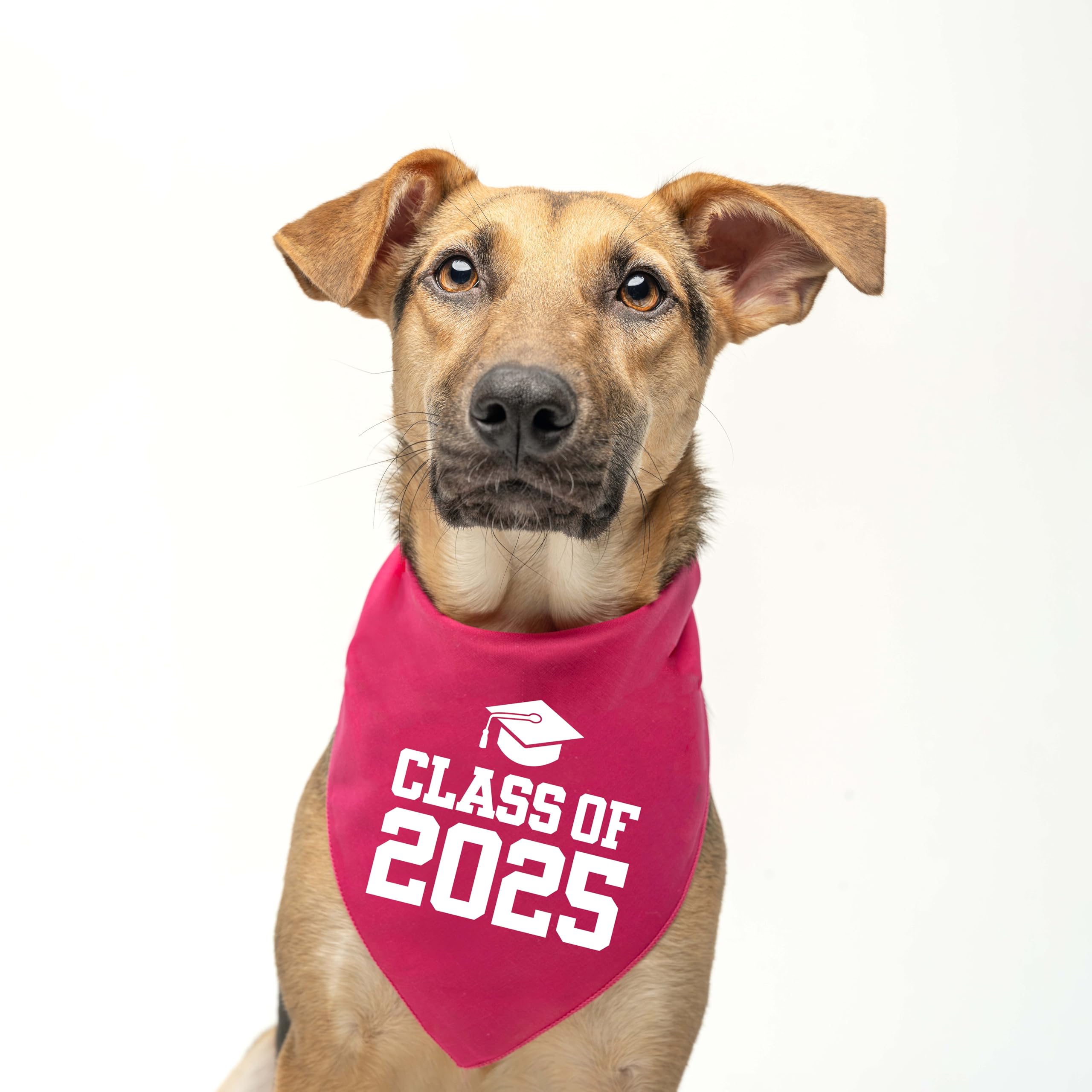 Class Of 2025 Dog Bandana | 100% Cotton Triangle | School Graduation Ceremony Party | Mom Dad Graduating Prop | 644 Royal, One S