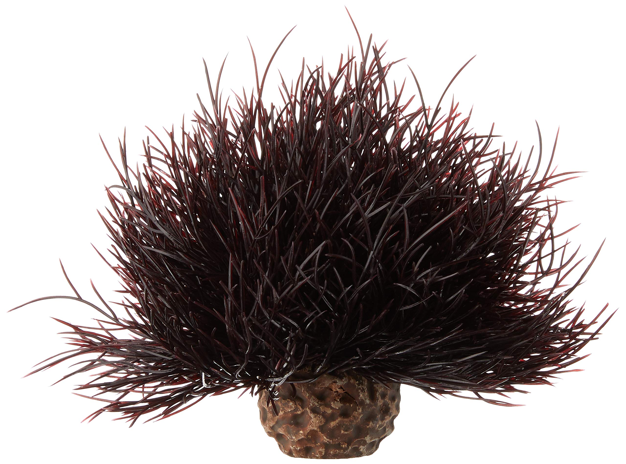 Biorb Sea Lily Crimson