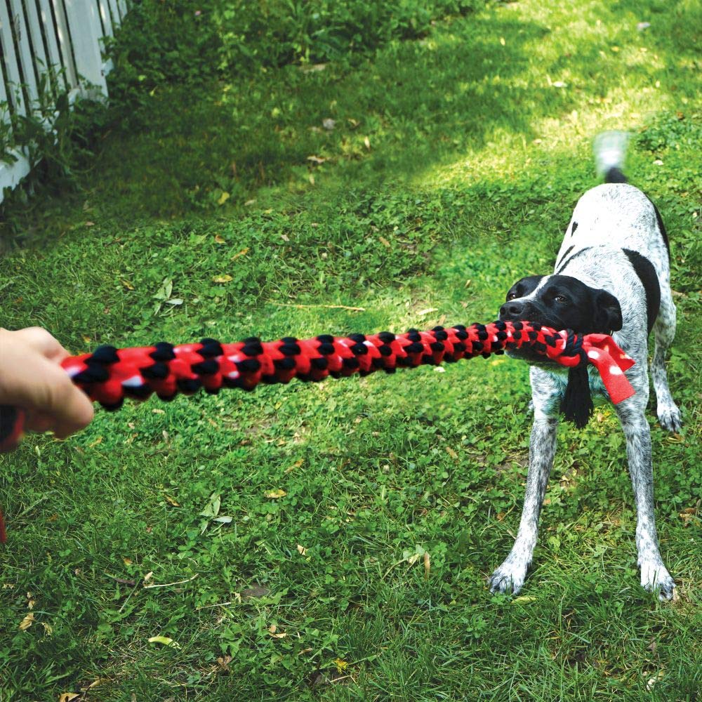 KONG Signature Dual Knot Rope, 20