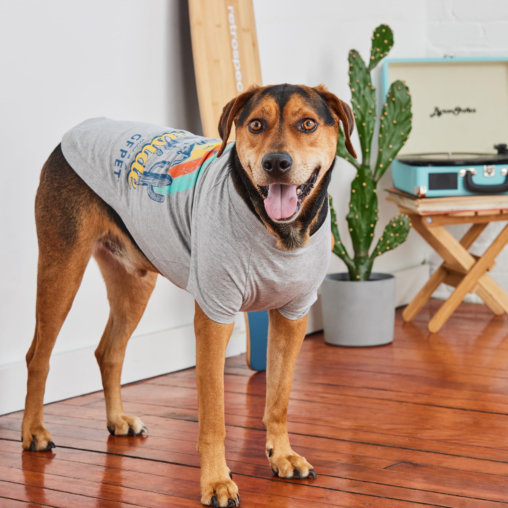 Gf Pet - Graphic Tee Dog T-Shirt (Heather Grey, Small)