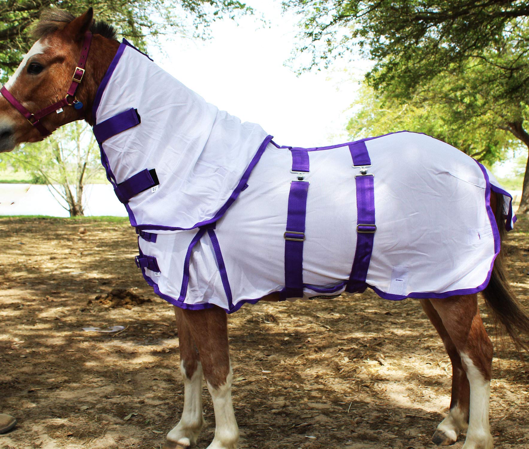 Challenger 38'' Miniature Weanling Donkey Pony Horse Foal Summer Sheet 51808