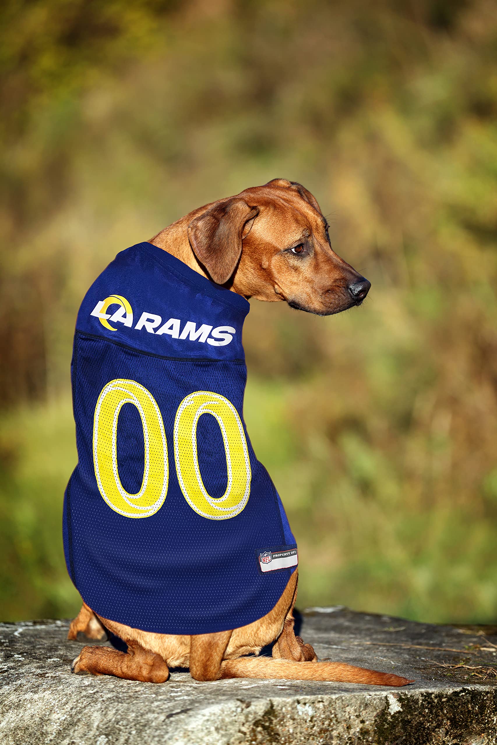 Nfl Los Angeles Rams Dog Jersey, Size: X-Small. Best Football Jersey Costume For Dogs & Cats. Licensed Jersey Shirt