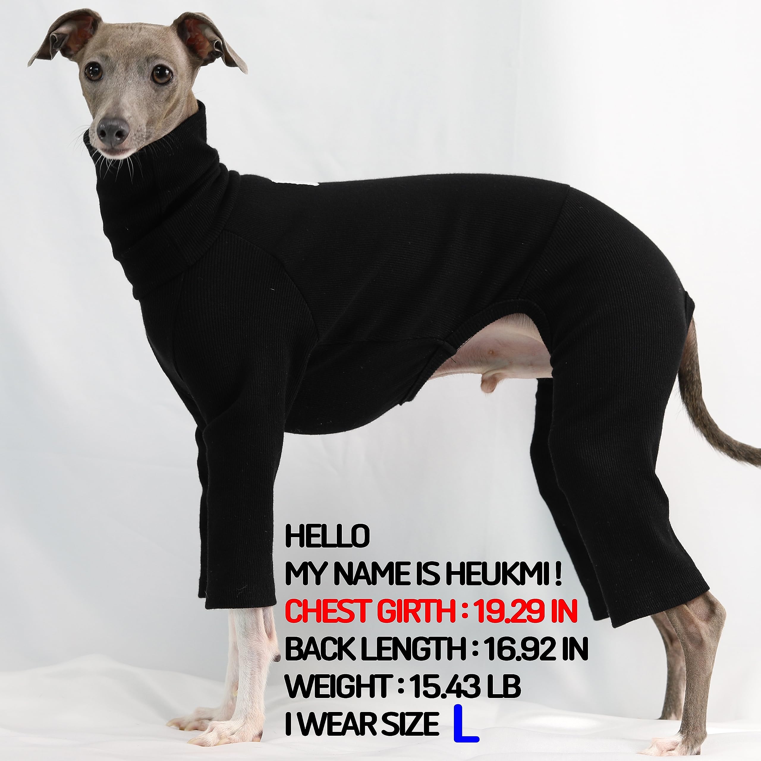 D Doggy Star Italian Greyhound Clothes Stretchable Onesie Whippet For Dog (2Xl,Ribbed Black)