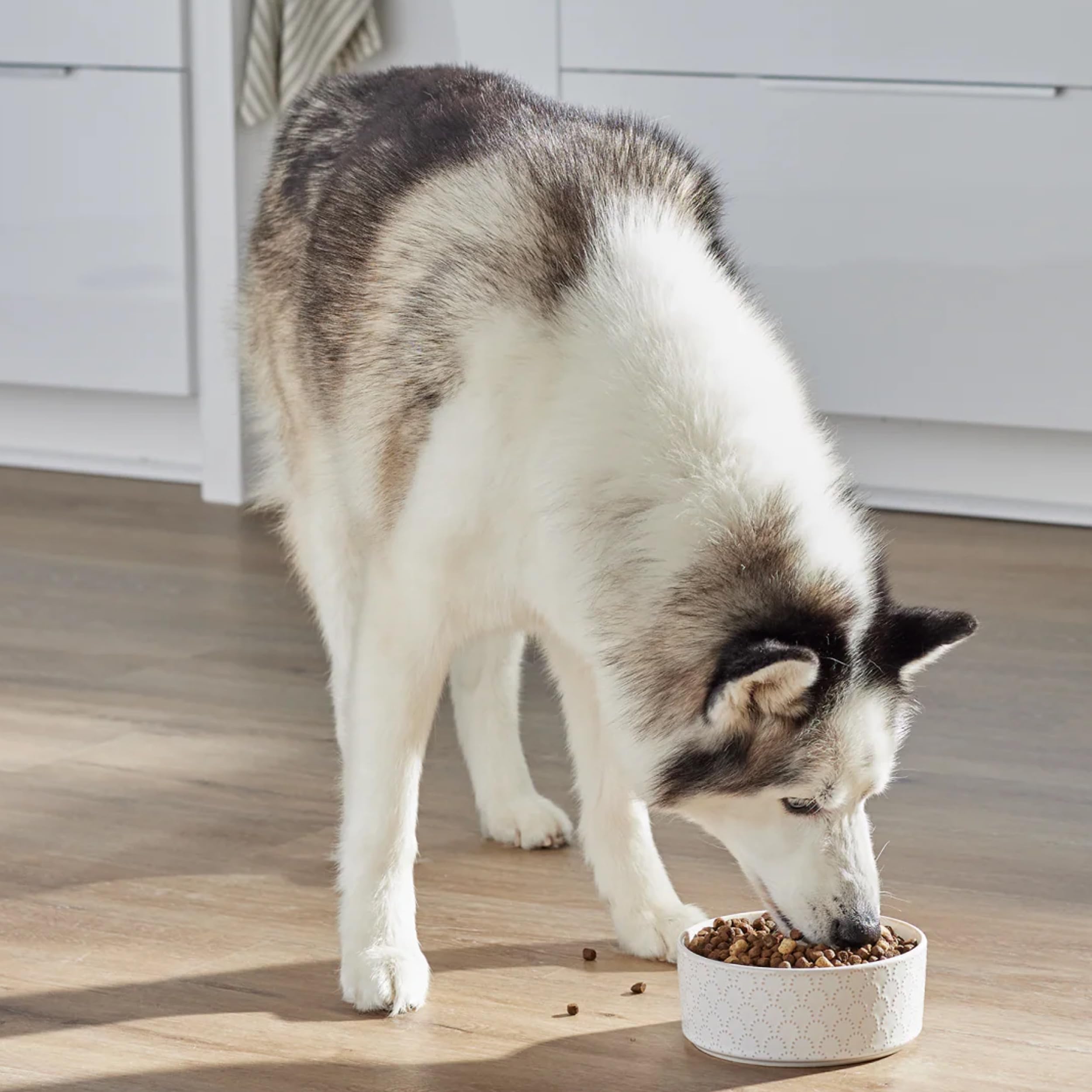 Open Farm, RawMix Dry Dog Food with Ancient Grains for Large Breeds, Protein-Packed Kibble Coated in Bone Broth with Freeze Drie