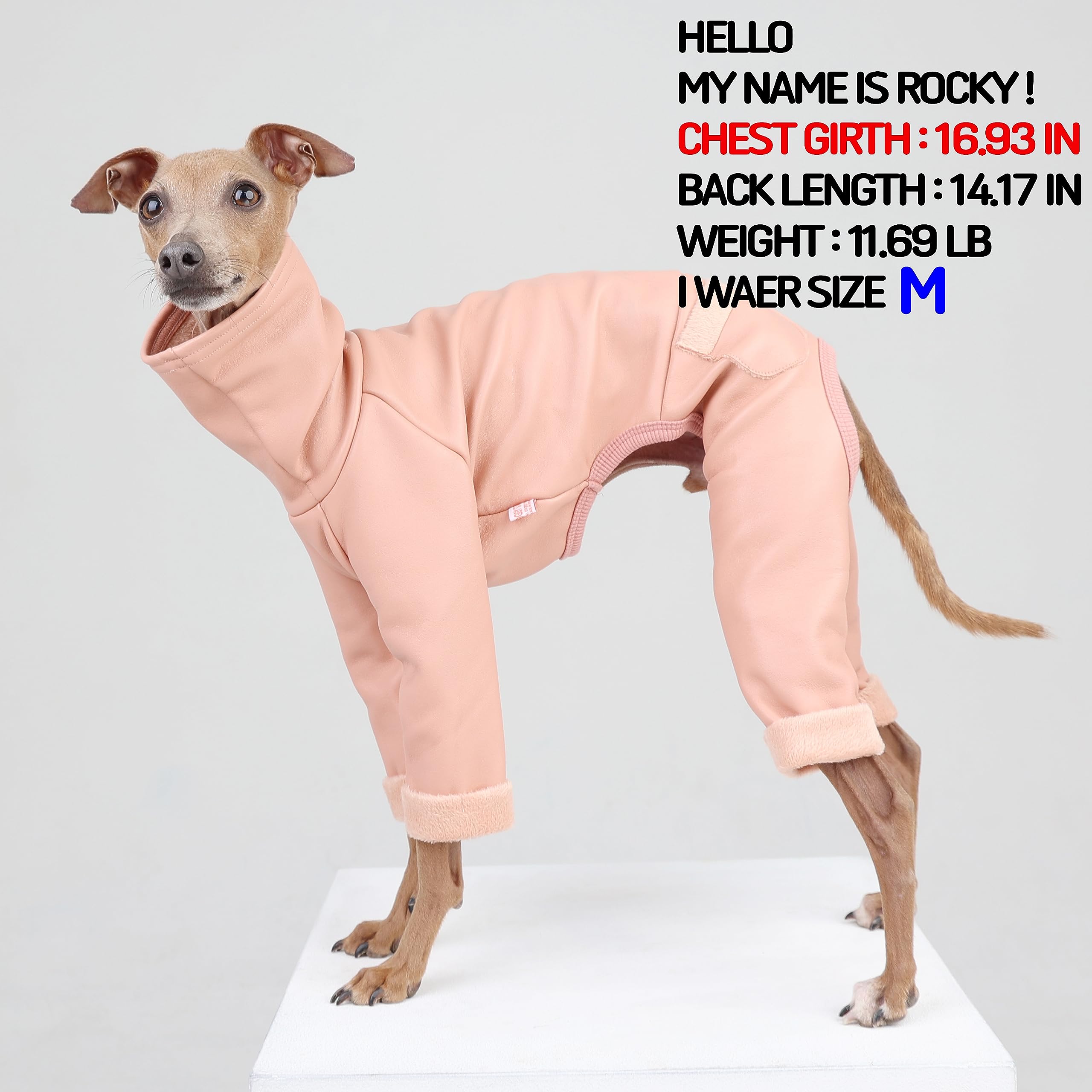 D Doggy Star Italian Greyhound Coat Stretchable Aartificial Leather Fleece Lining Clothes Whippet For Dog (2Xl,Leather Pink)
