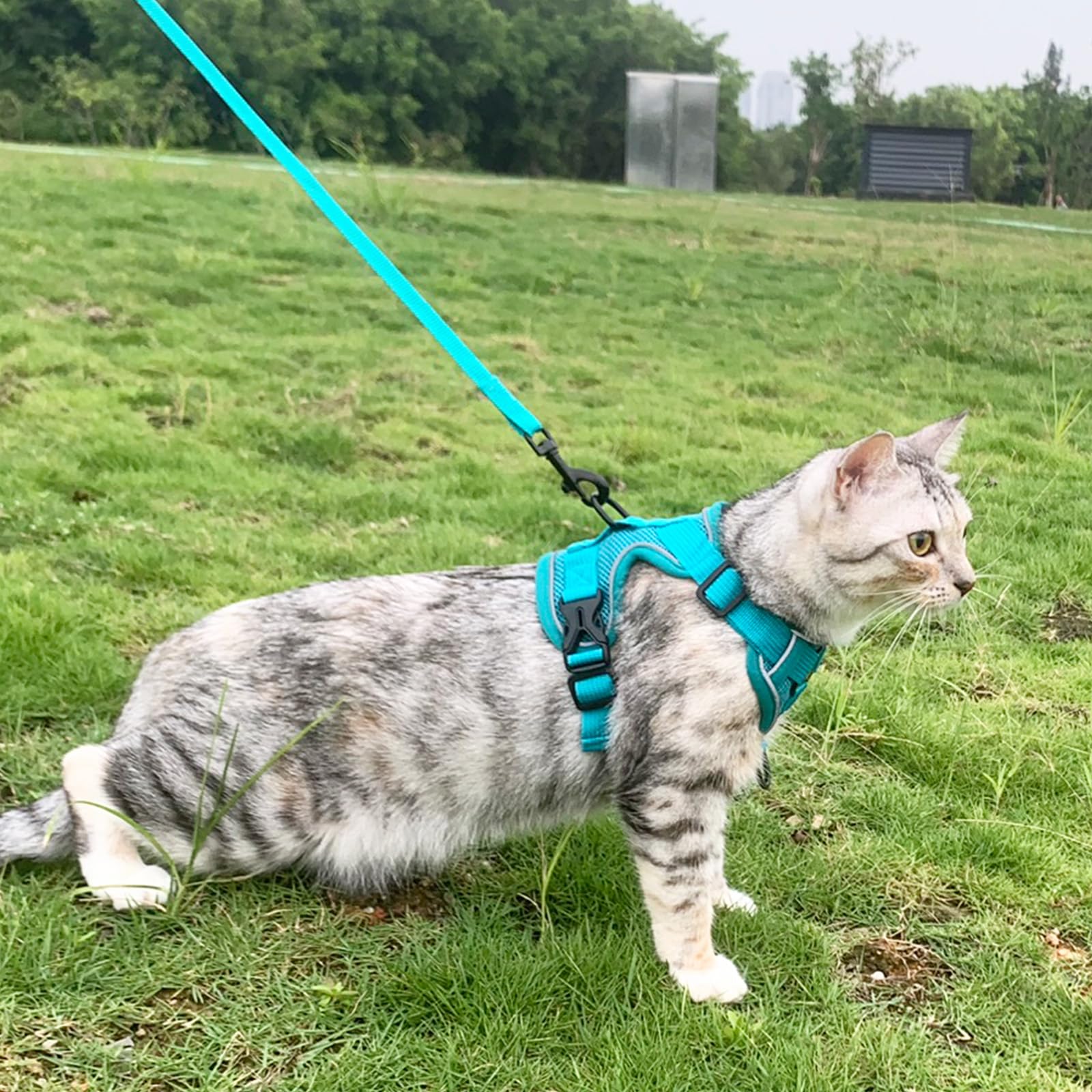 pangdi Cat Harness and Leash Set Escape Proof Tactical Medium Kitten Harness Emotional Support Cat Vest, Turquoise, M