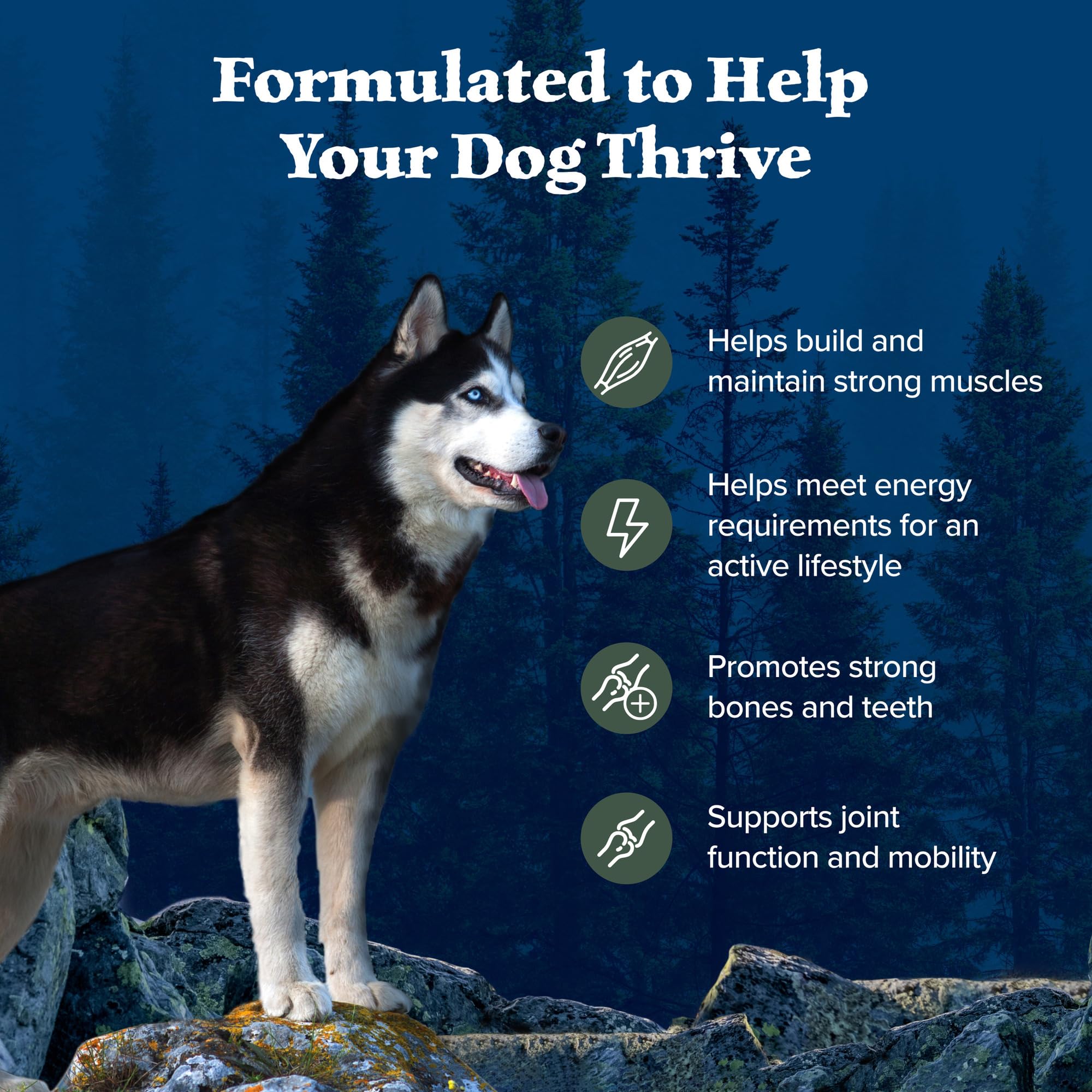 Blue Buffalo Wilderness Natural High-Protein Dry Food for Adult Dogs, with Wholesome Grains, Duck, 13-lb bag.
