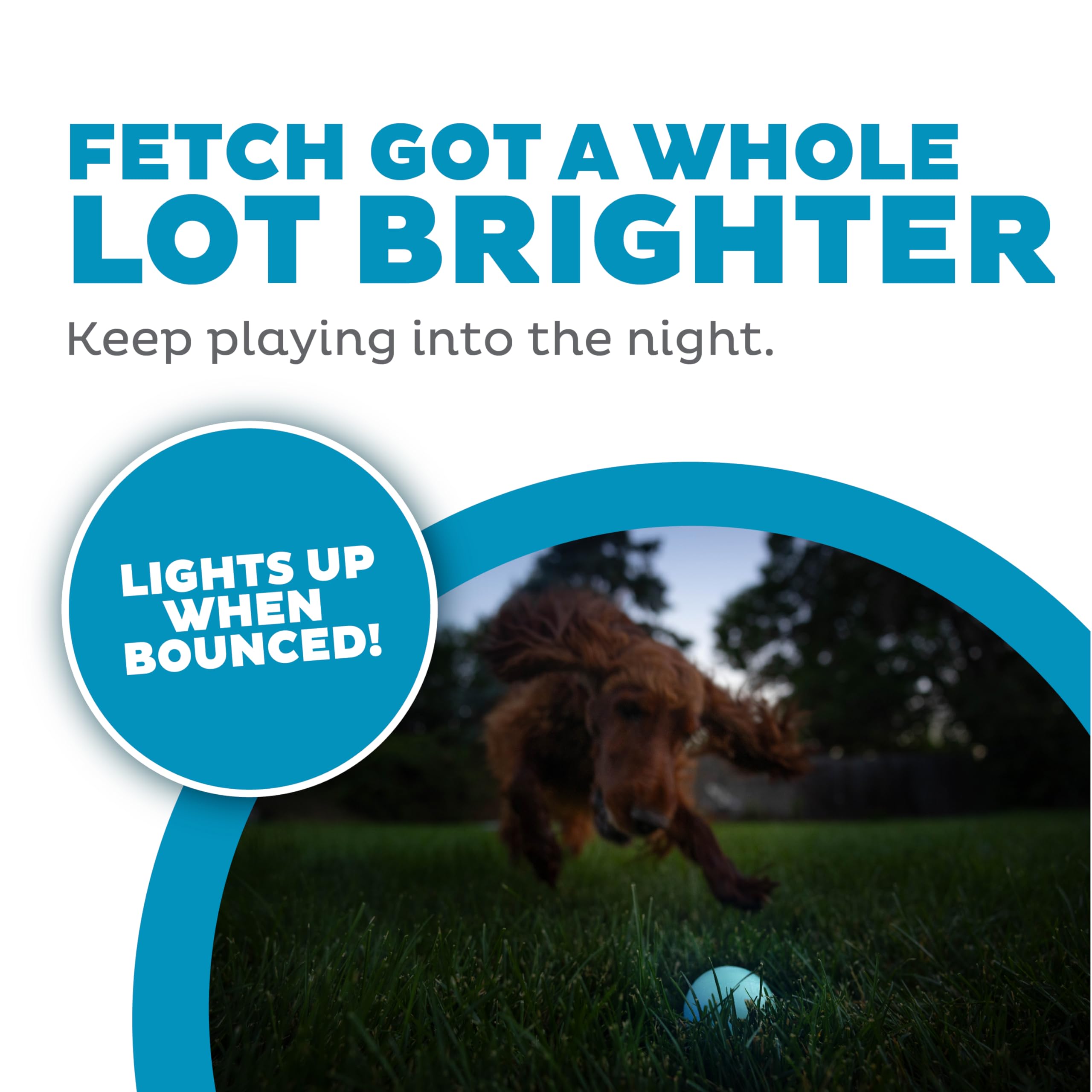 Outward Hound By Planet Dog Strobe Light Up Led Ball Dog Toy, Blue